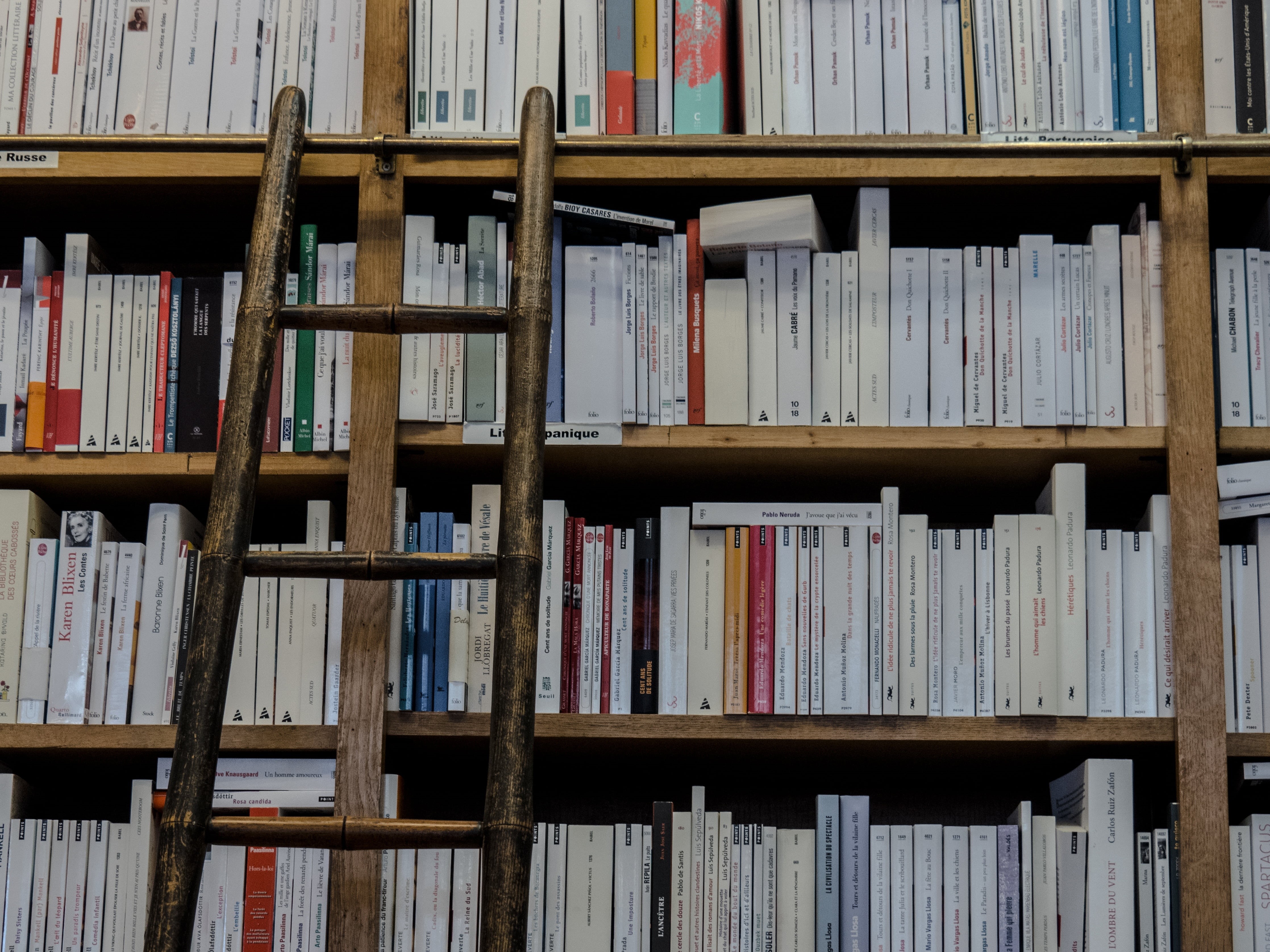 shelving, meet, in a row, 4K, wood - material, read, order, publication, text, library, culture, volumes, no people, choice, collection, book, shelf, title, HD Wallpaper