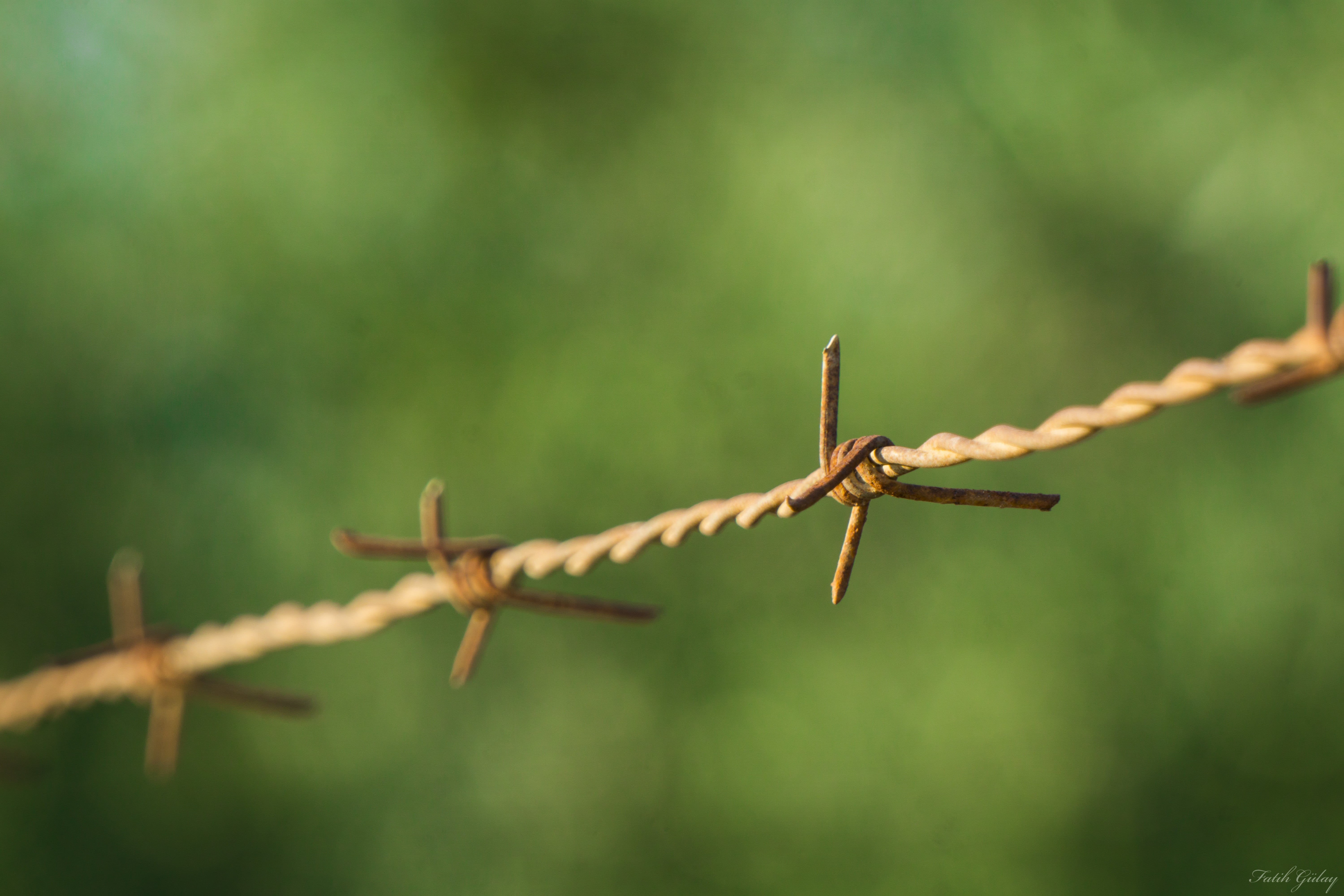 barbed wire, twisted, metal, focus on foreground, safety, sign, sharp, wire, no people, outdoors, boundary, security, spiked, protection, barrier, day, HD Wallpaper