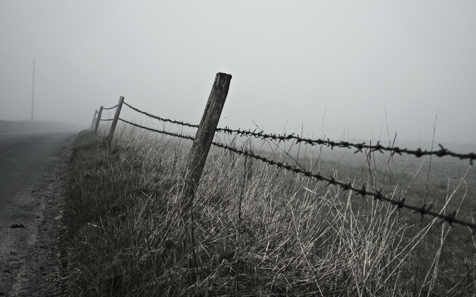 plant, grass, protection, tranquil scene, safety, field, nature, 1080P, outdoors, landscape, wooden post, timothy grass, fence, boundary, no people, barbed wire, HD Wallpaper