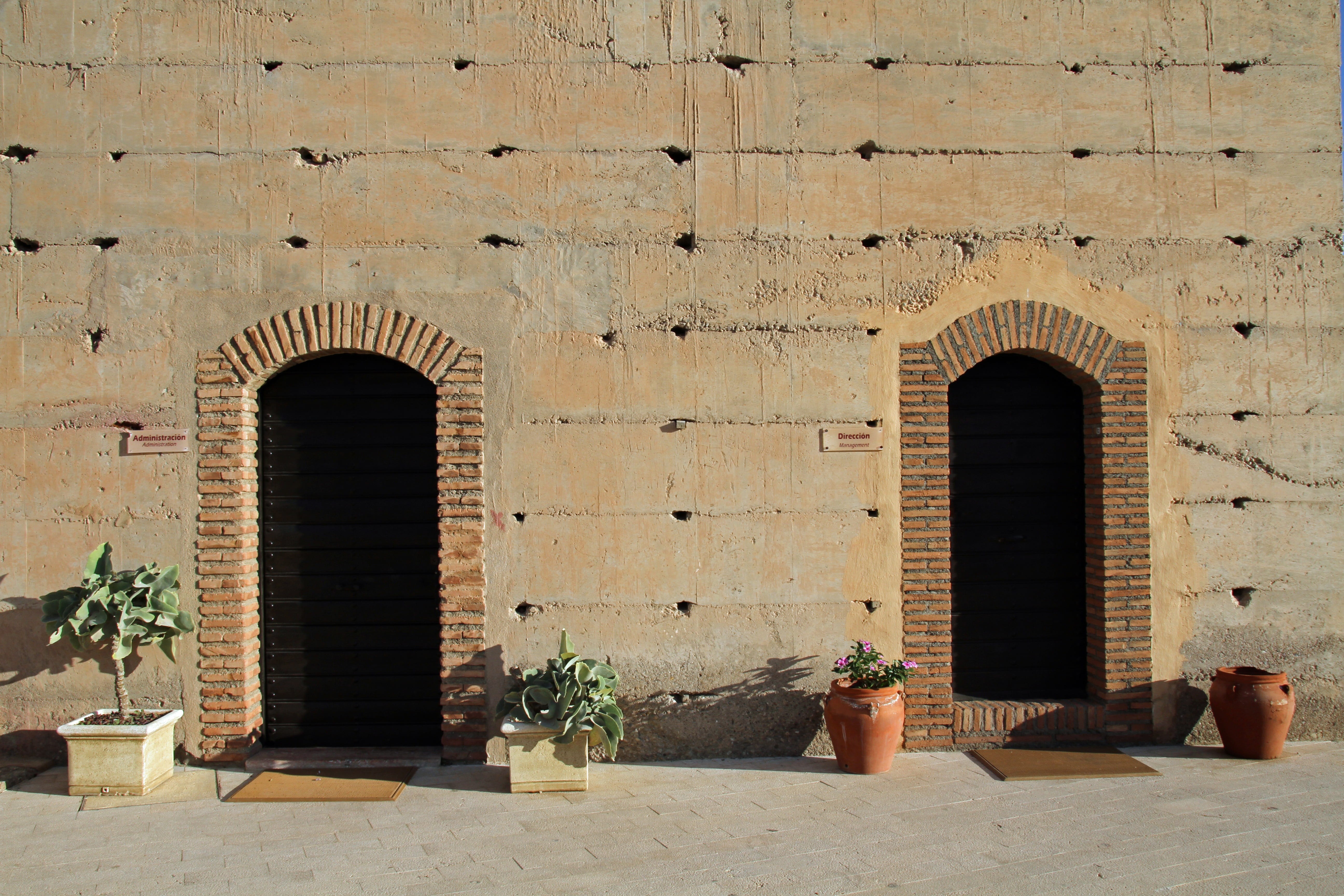 entrance, architecture, built structure, old, architectural column, pattern, arch, the past, nature, history, geometric, brick, sunlight, plant, potted plant, HD Wallpaper