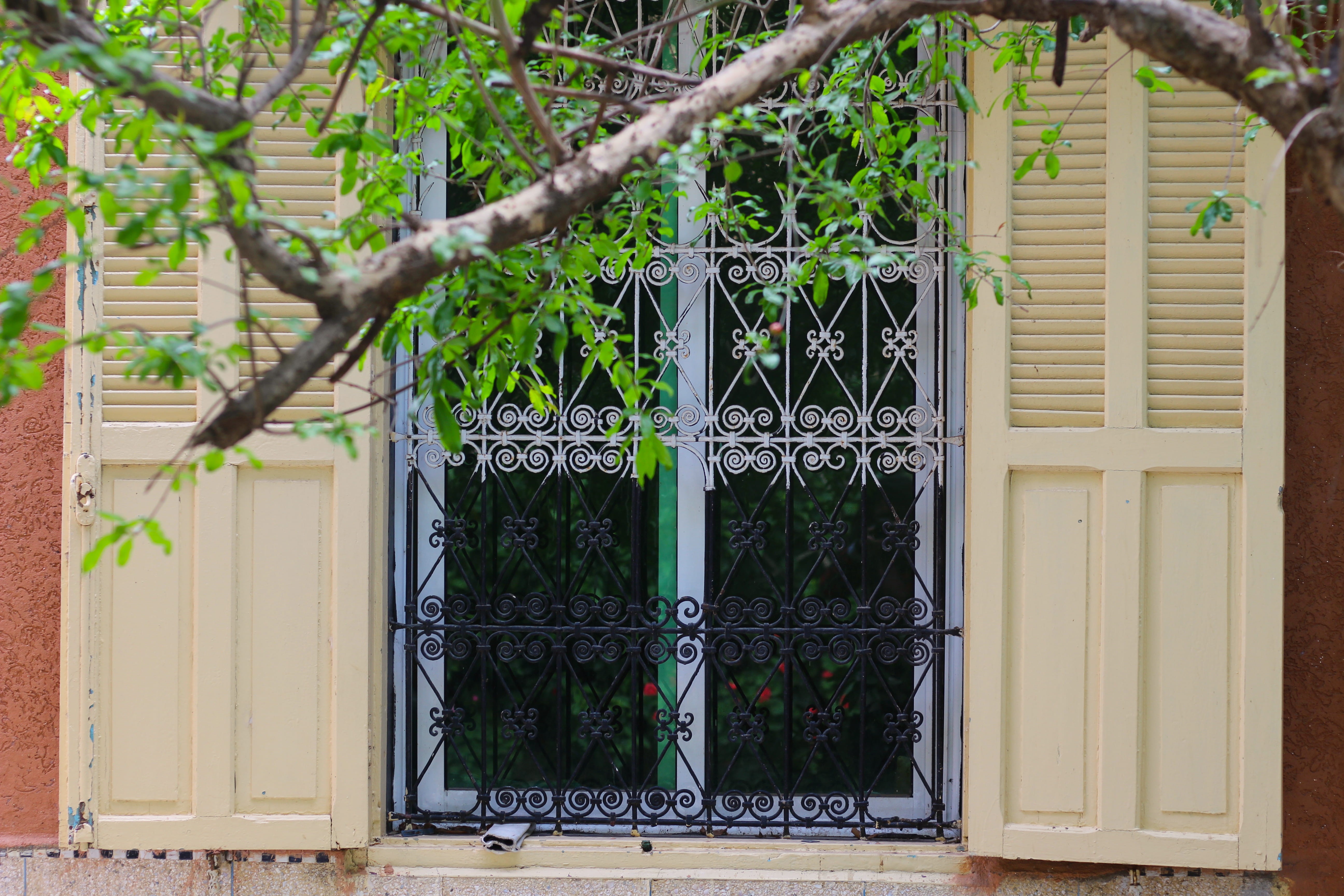 railing, building, 5K, green color, brick, style, tree, entrance, window, french door, plant, safety, growth, traditionnel, residential district, stylish, HD Wallpaper