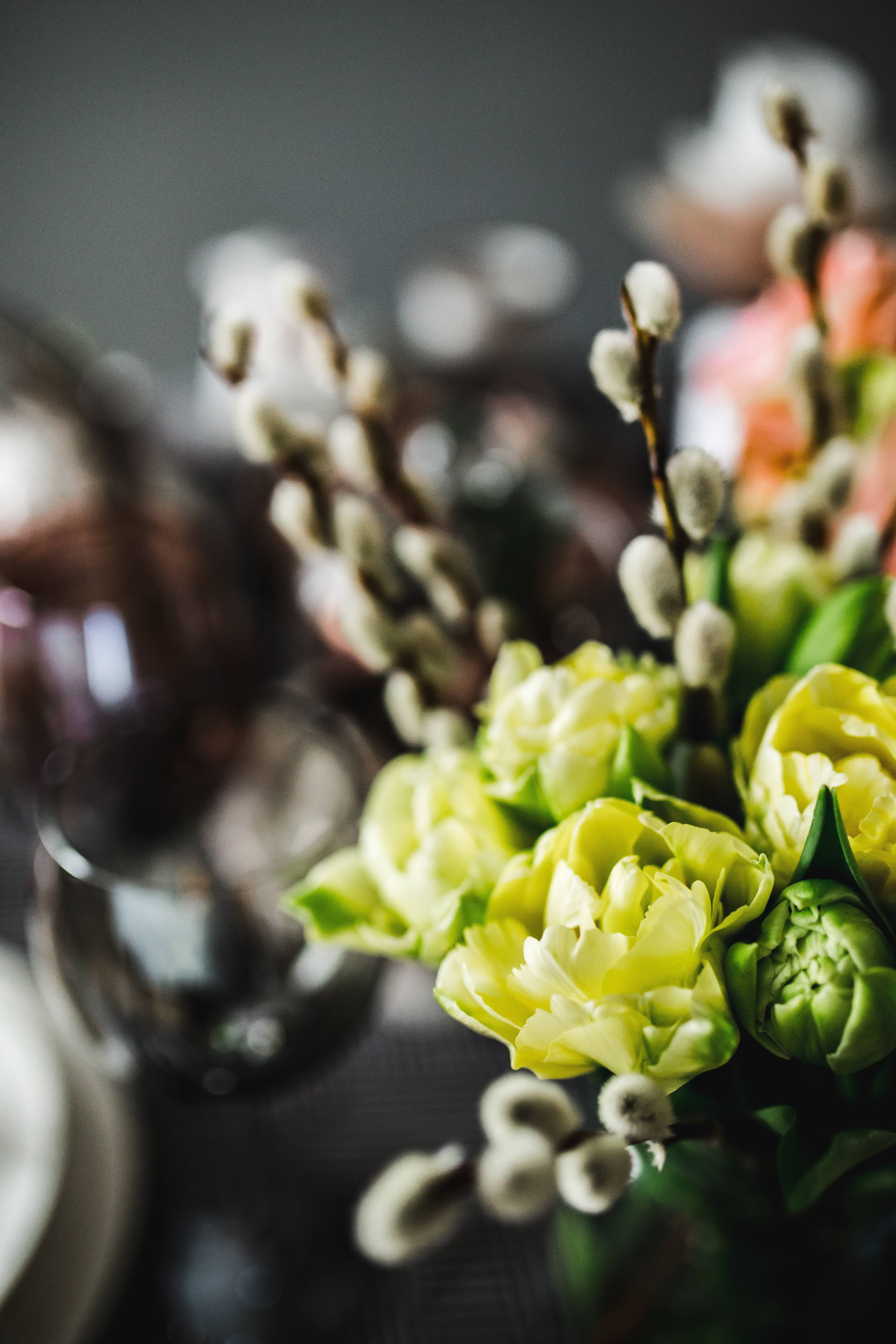 dinner, no people, still life, vulnerability, freshness, decorations, decorated, close-up, flower, indoors, flower head, decoration, focus on foreground, Phone HD Wallpaper