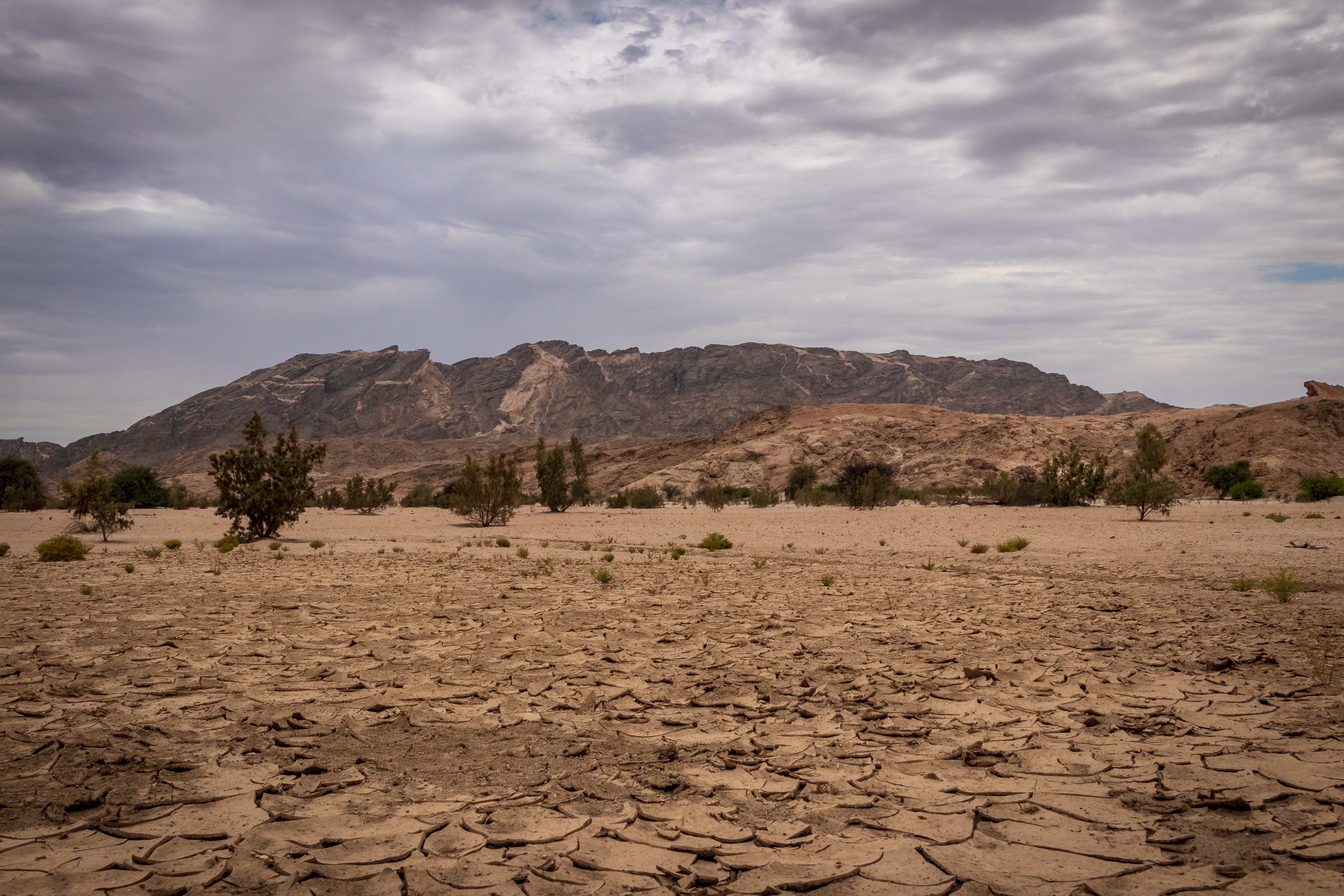 scenics - nature, astronaut, outdoors, plateau, barren, desert, non-urban scene, pig, tranquility, transportation, arid climate, sand, vessel, landscape, HD Wallpaper
