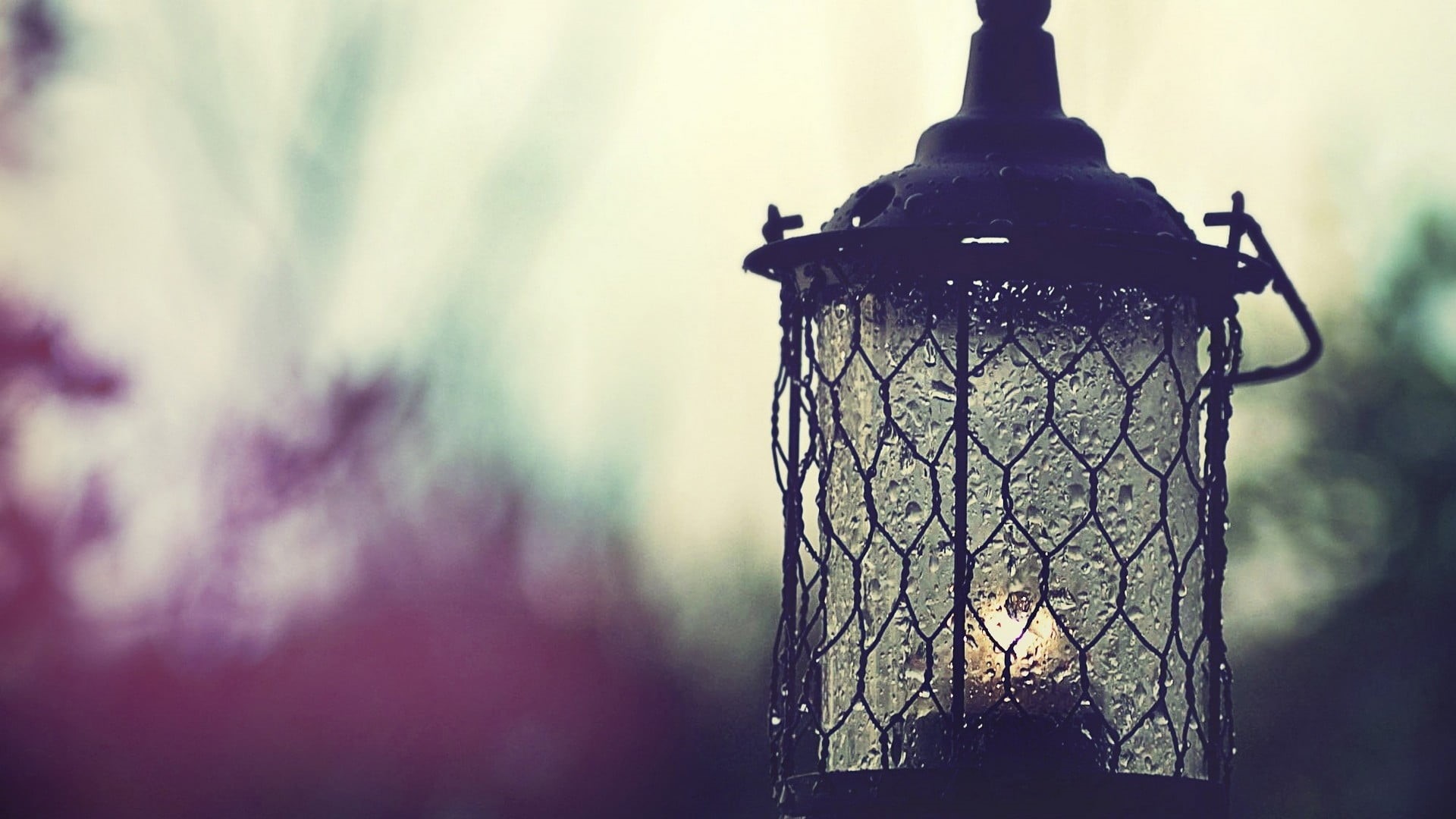 built structure, water drops, 1080P, black, lantern, close-up, no people, day, pattern, low angle view, tree, architecture, lighting equipment, focus on foreground, HD Wallpaper