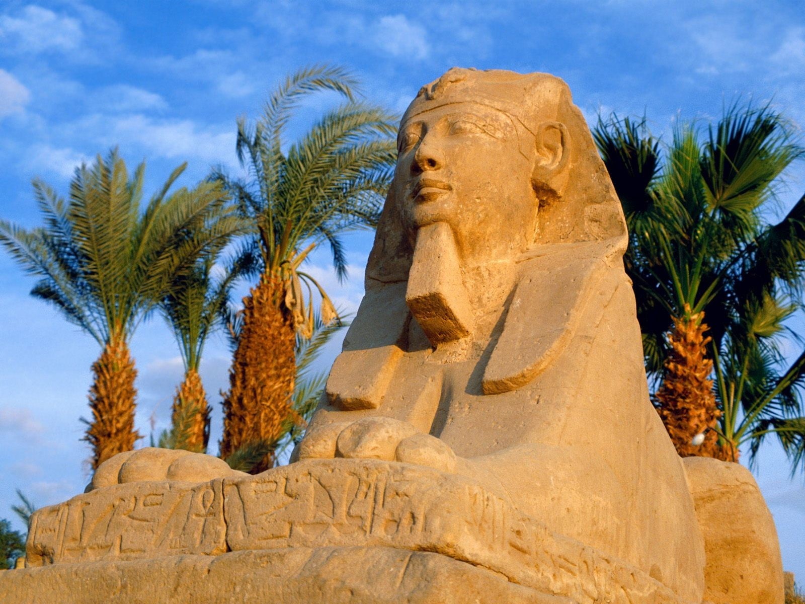 sculpture, palm tree, Luxor, plant, representation, history, ancient civilization, archaeology, craft, tree, 720P, the past, creativity, travel destinations, HD Wallpaper