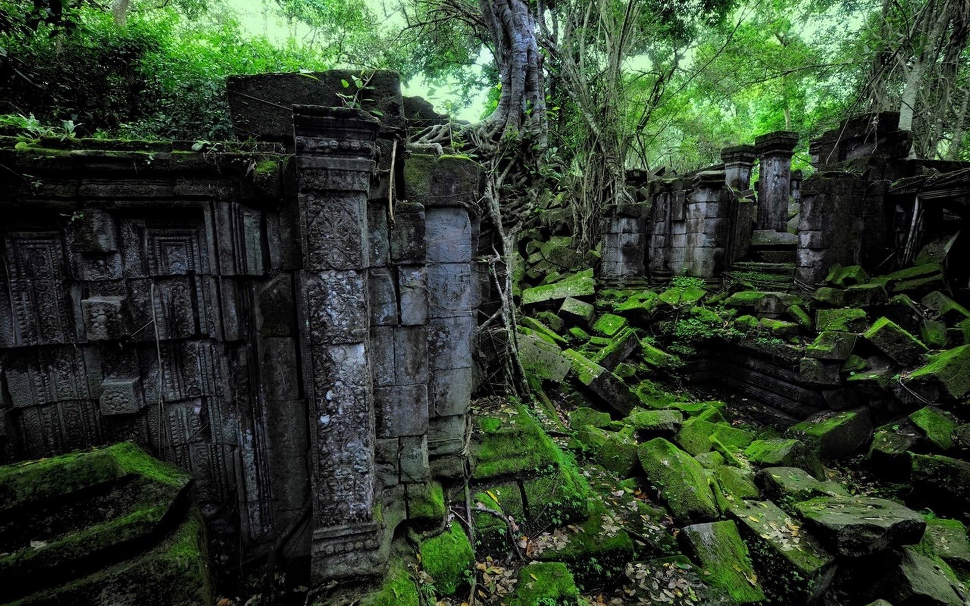 damaged, ancient civilization, gray, history, nature, ruined, the past, architecture, ruins, decline, built structure, plant, abandoned, green color, day, HD Wallpaper
