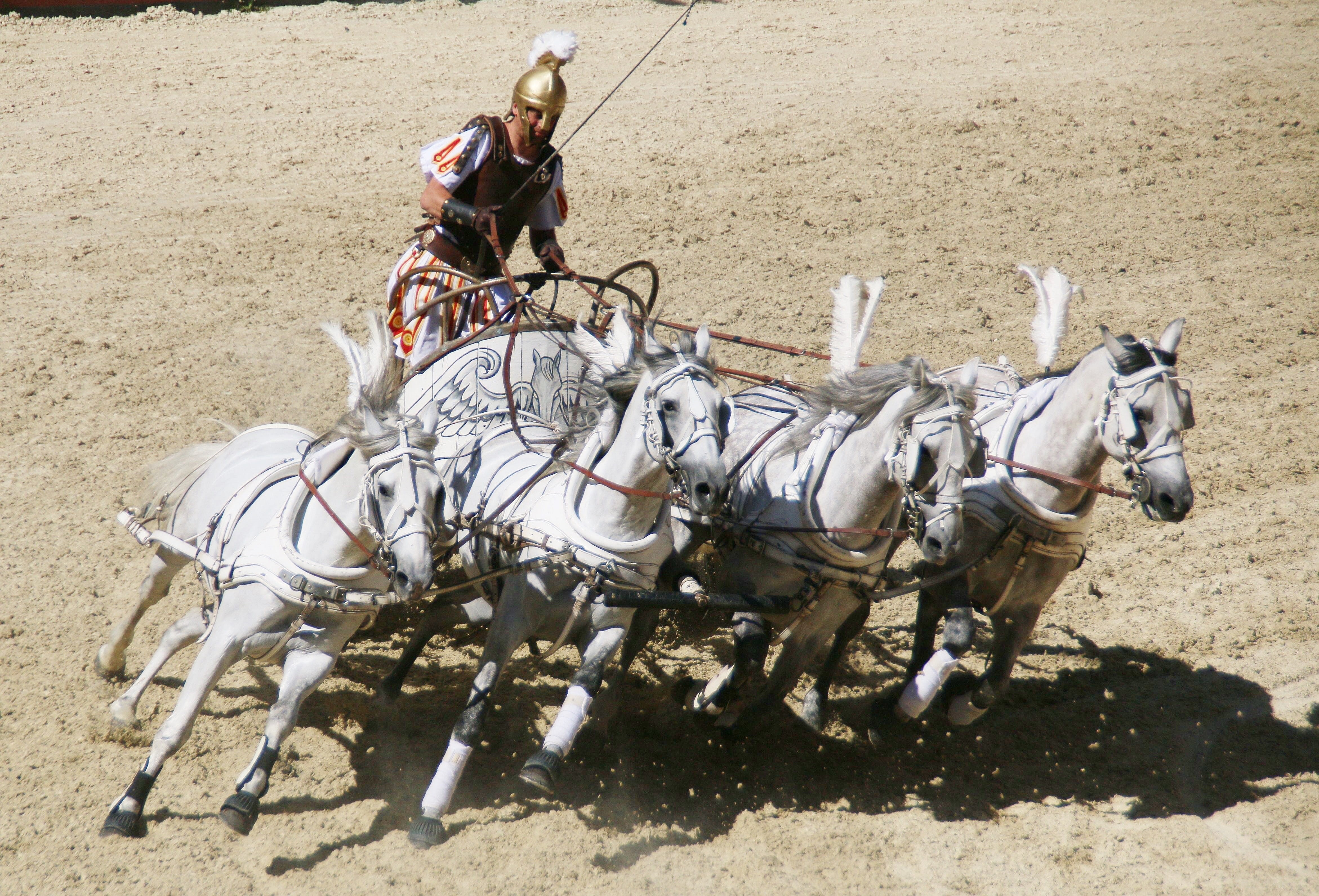battle, horses, group of animals, competitors, carriage, livestock, costume, roman, ancient, chariot race, horseback riding, old, pets, warrior, fighting, HD Wallpaper
