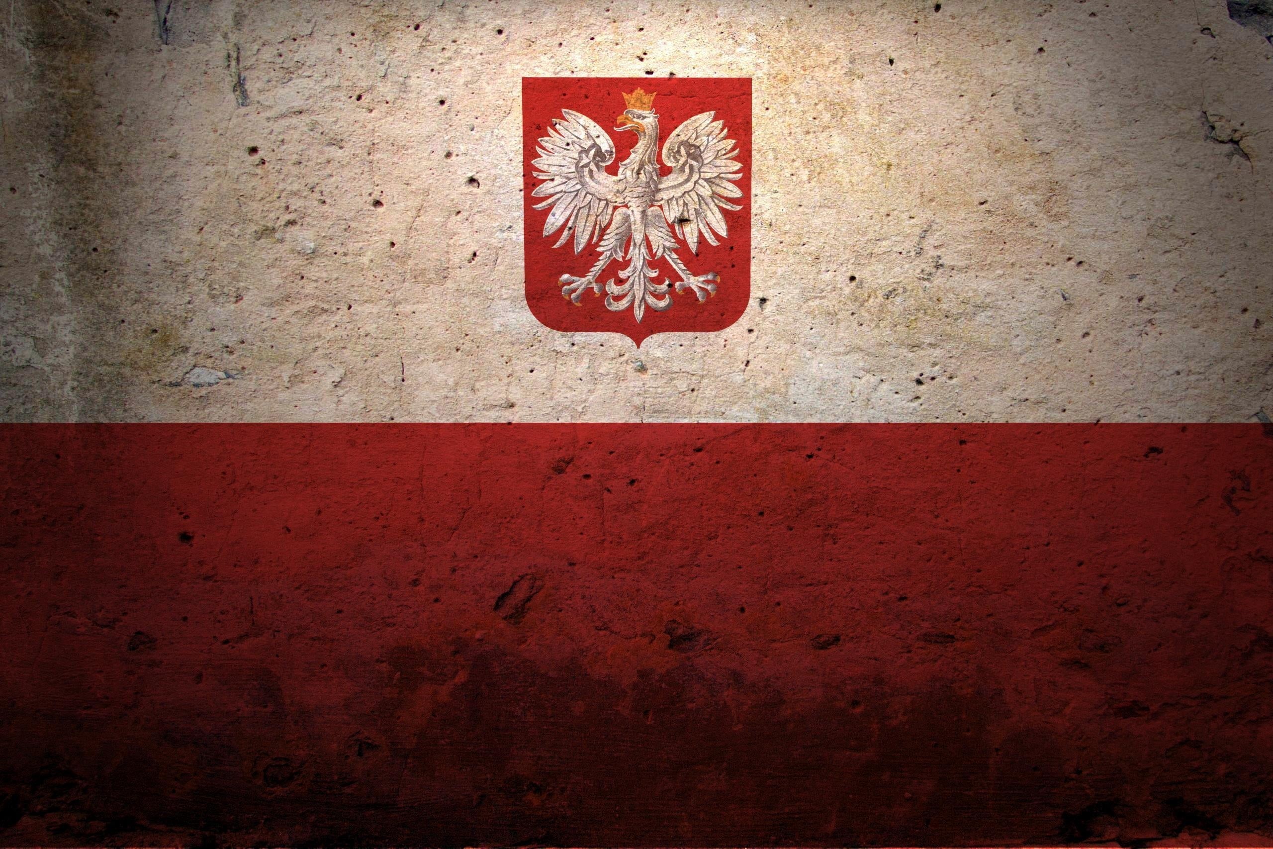 scratched, weathered, logo, art and craft, texture, cracked, illustration, poland, the past, white, patriotism, concrete, coat of arms, backgrounds, dirty, HD Wallpaper