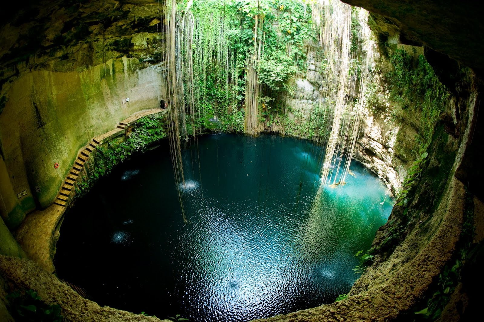 flowing water, cenotes, high angle view, nature, tree, day, long exposure, waterfall, 720P, plant, turquoise colored, green color, Lianas, travel destinations, HD Wallpaper