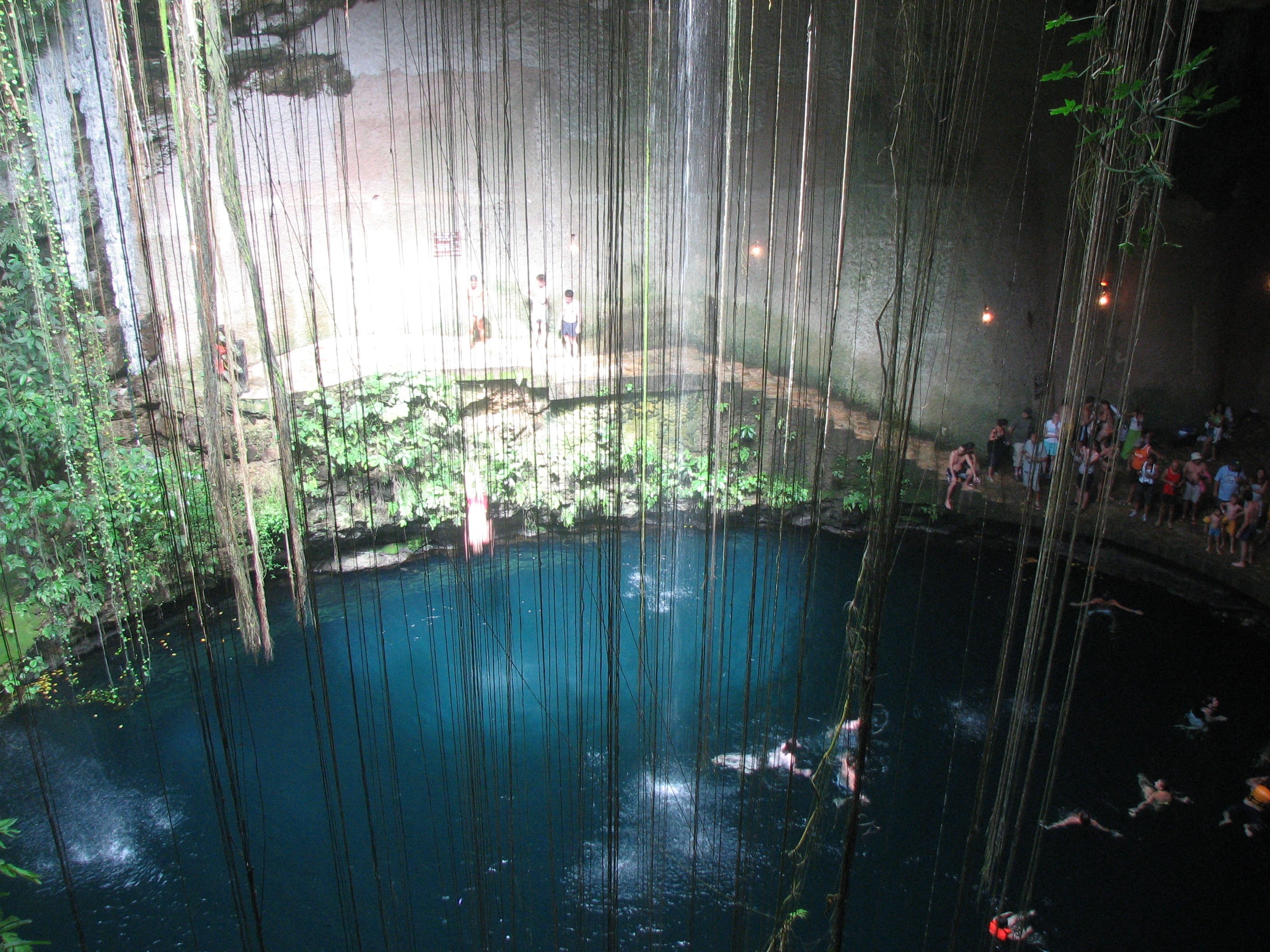 green Color, Pool, Cenote, window, holiday, nature, no people, tree, wet, architecture, day, Mexico, outdoors, Swimming, forest, swimming, land, 2K, pool, HD Wallpaper