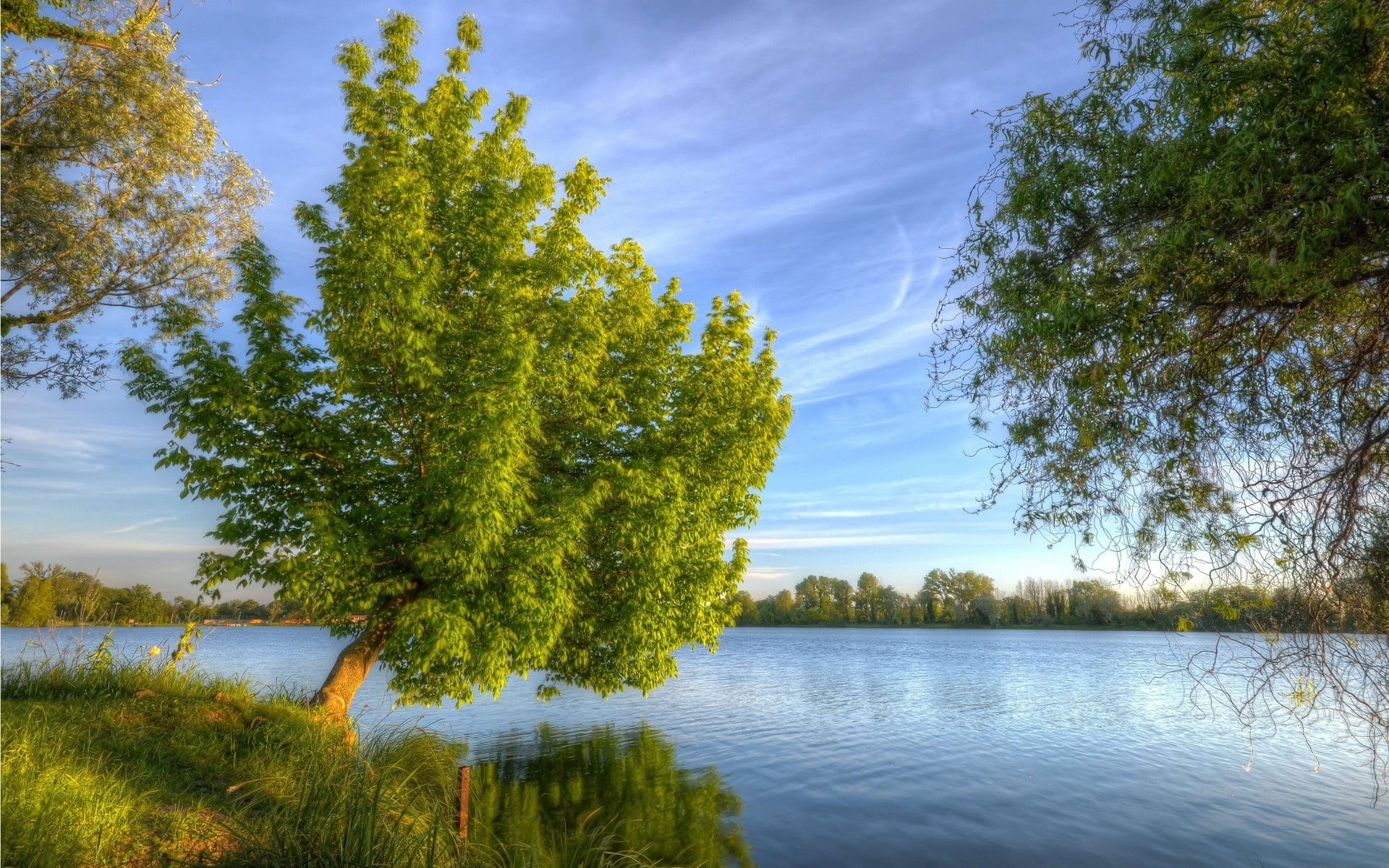 1080P, body, green, tree, trees, tranquility, green color, reflection, outdoors, day, plant, no people, near, water, tranquil scene, cloud - sky, scenics - nature, HD Wallpaper