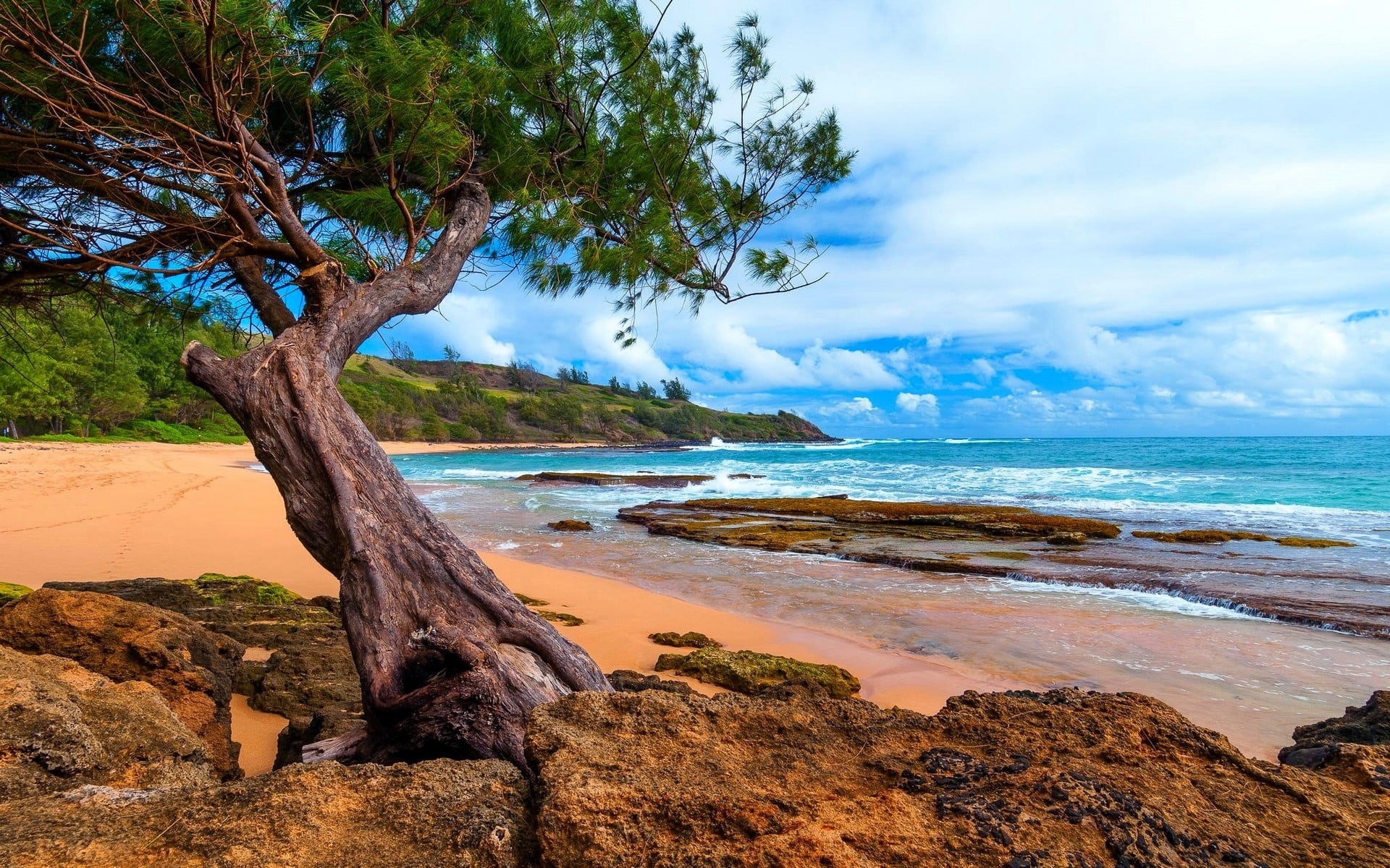 sky, no people, outdoors, land, peninsula, trees, tranquility, nature, Hawaii, clouds, water, horizon over water, landscape, rock, green, 1080P, plant, HD Wallpaper