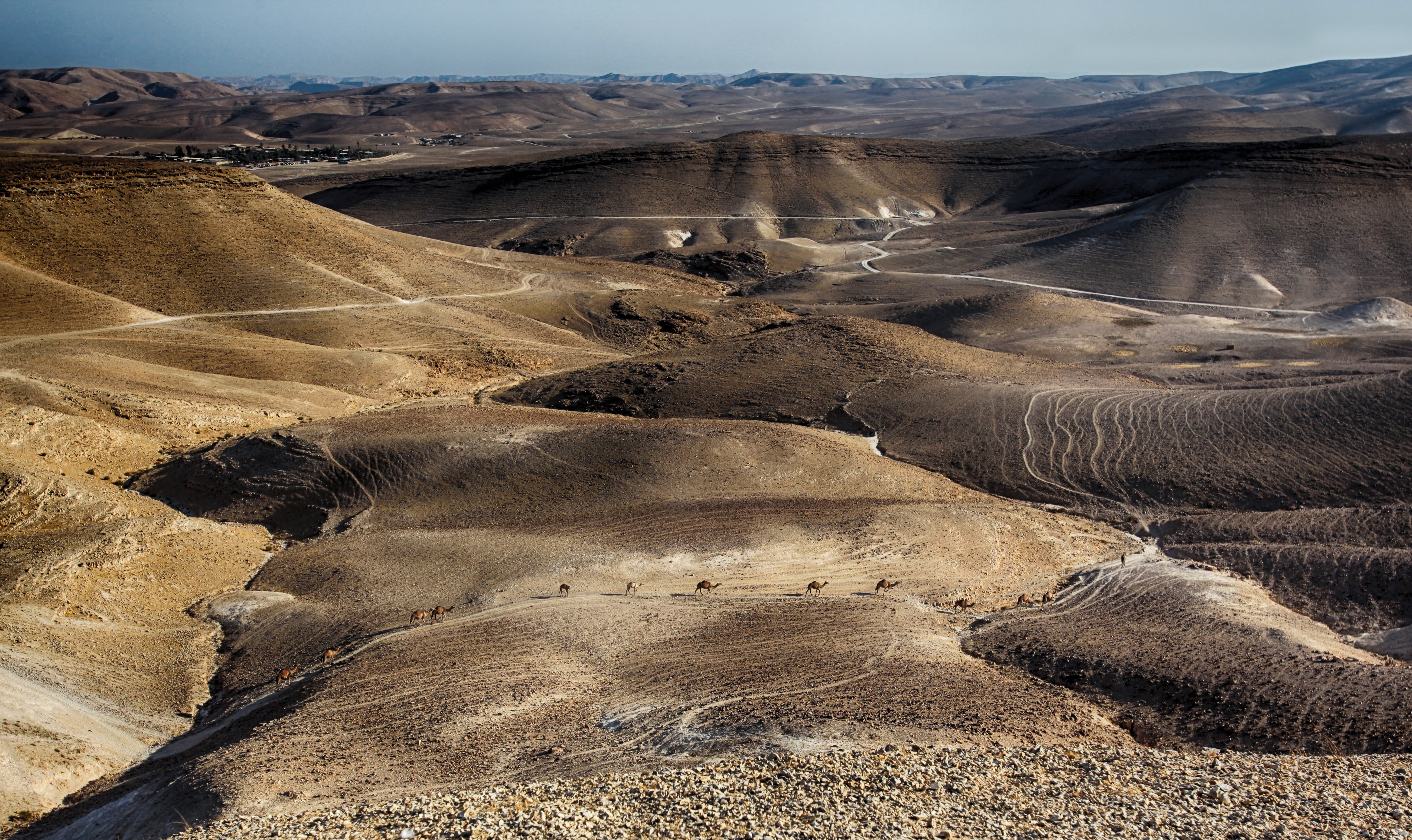 dead, israel, area, park, wide, travel destinations, high angle view, red, blue, landscape, east, rock - object, remote, tranquility, sand, yellow, brown, HD Wallpaper