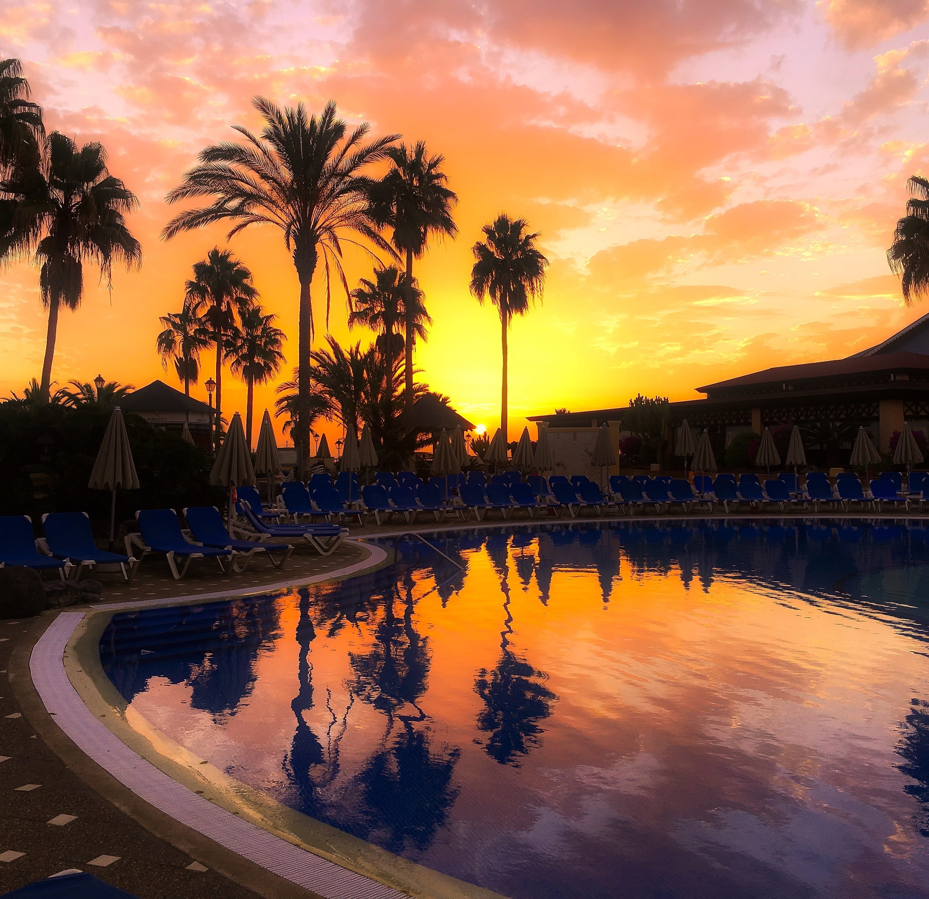 vacations, tourist Resort, palm Tree, travel Locations, beach, hotel, travel Destinations, pool, Beauty, reflection, canary islands, tree, outdoors, Sun, HD Wallpaper