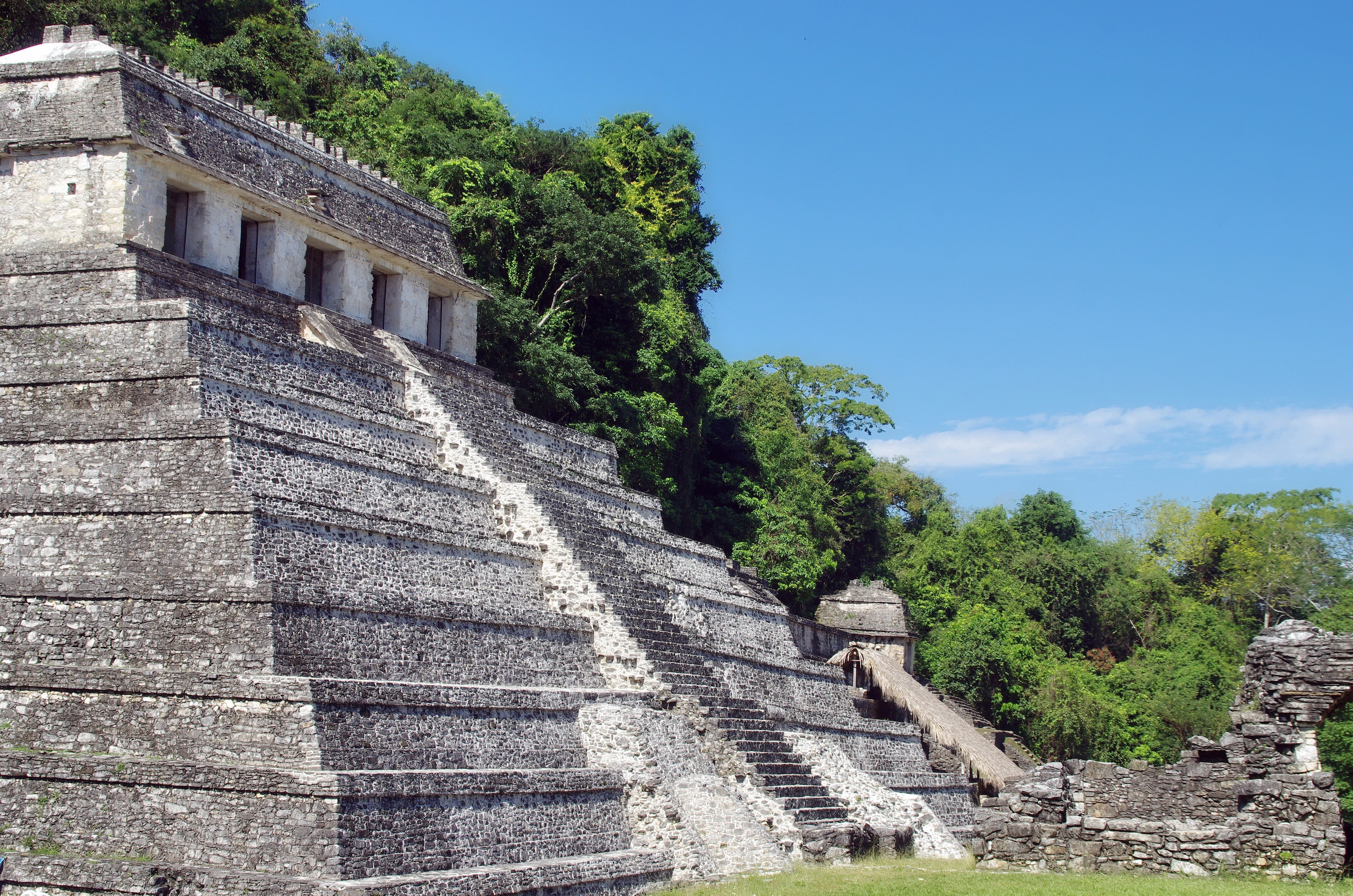 staircase, growth, the way forward, ruins, mesoamerica, palenque, built structure, outdoors, low angle view, 4K, sunlight, nature, no people, architecture, HD Wallpaper