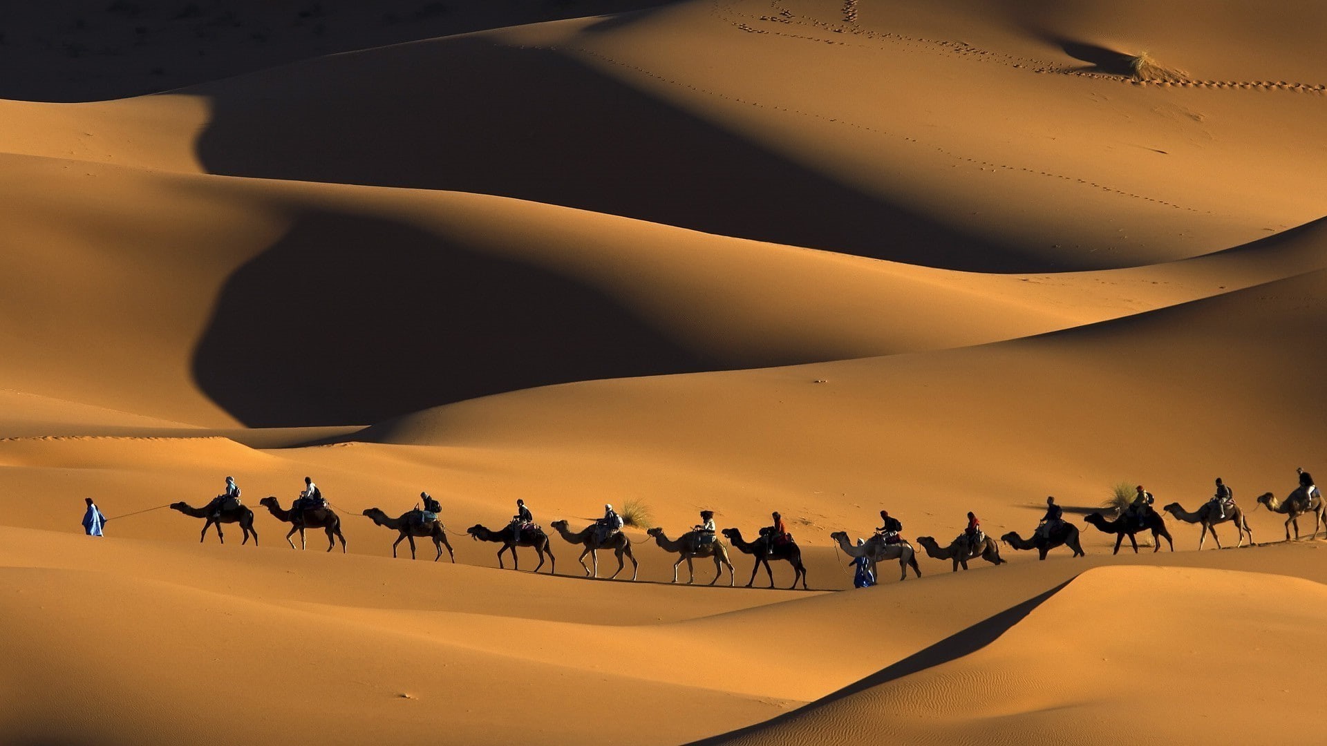 desert, group of people, travel, group of animals, animal, mammal, large group of animals, animal wildlife, scenics - nature, nature, sand, domestic animals, HD Wallpaper