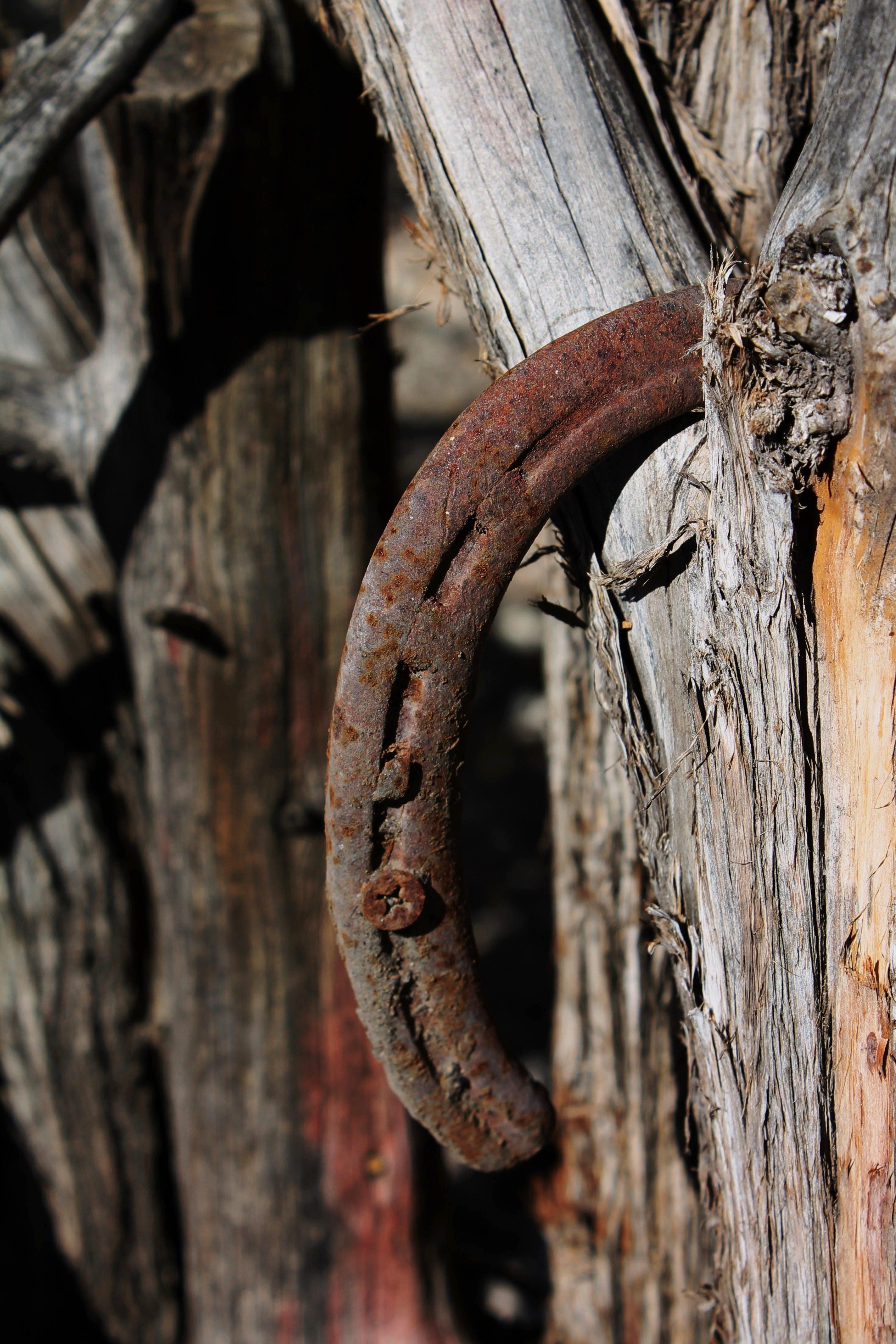 superstition, southwestern, weathered, outdoor art, vintage, luck, metal, focus on foreground, run-down, horseshoe, 4K, old, symbol, worn, new mexico, Phone HD Wallpaper