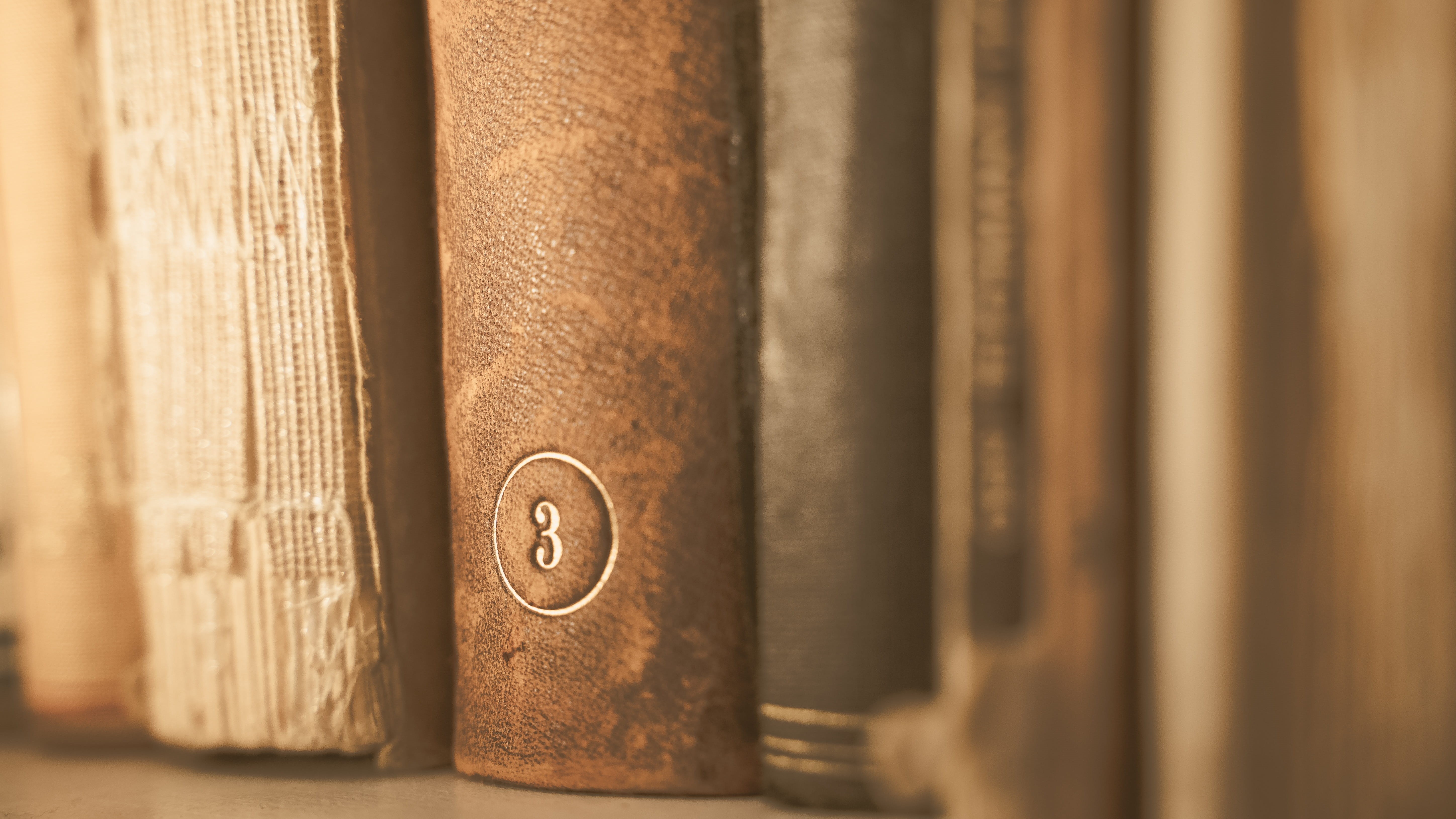 brown, knowledge, close-up, tumblr, paper, book shelf, antiquarian, wood - material, publication, read, antique, architecture, book associations, HD Wallpaper