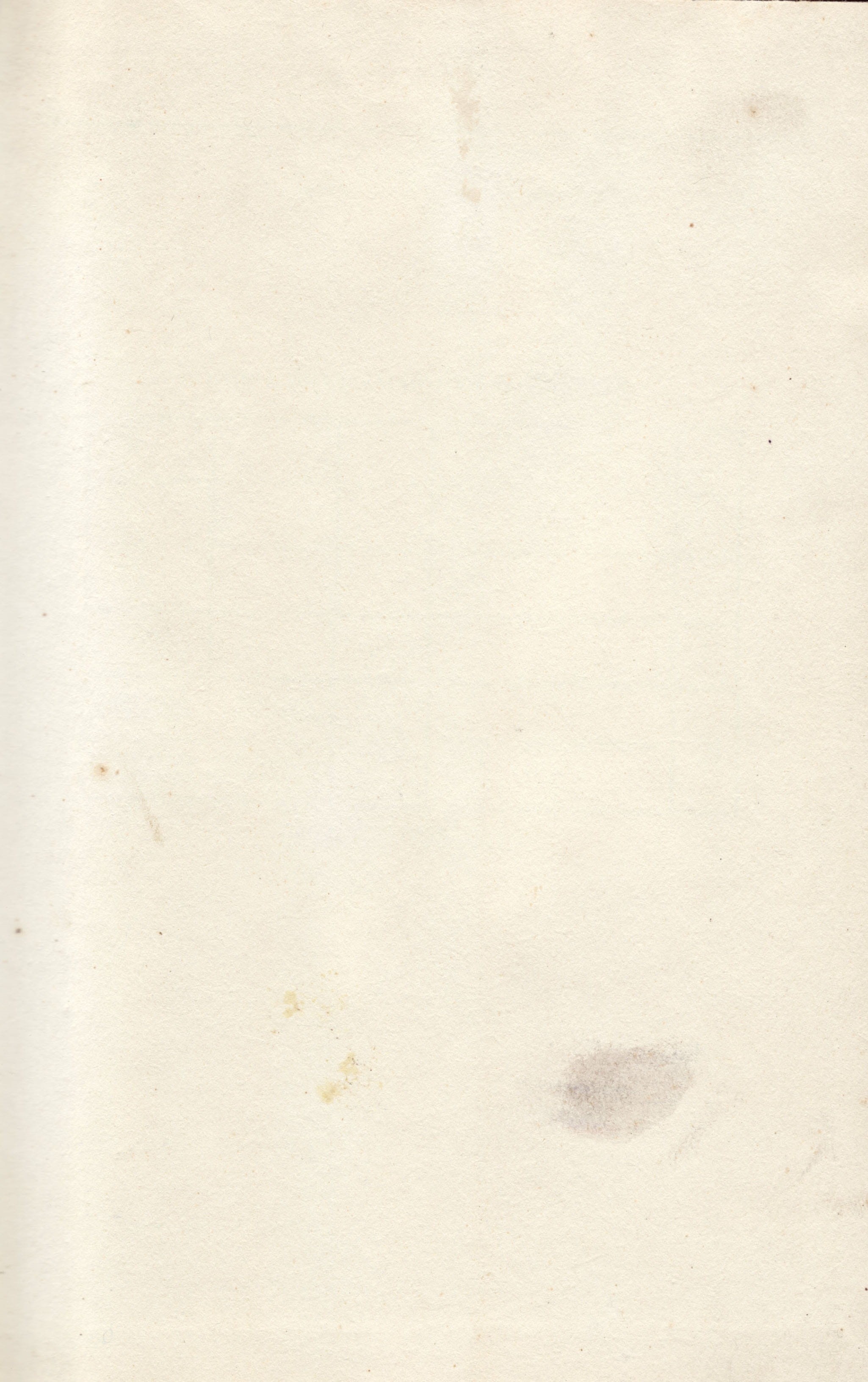 built structure, white color, page, architecture, copy space, Texture, backgrounds, textured, retro Styled, abstract, 2K, sheet, blank, antique, old-fashioned, Phone HD Wallpaper