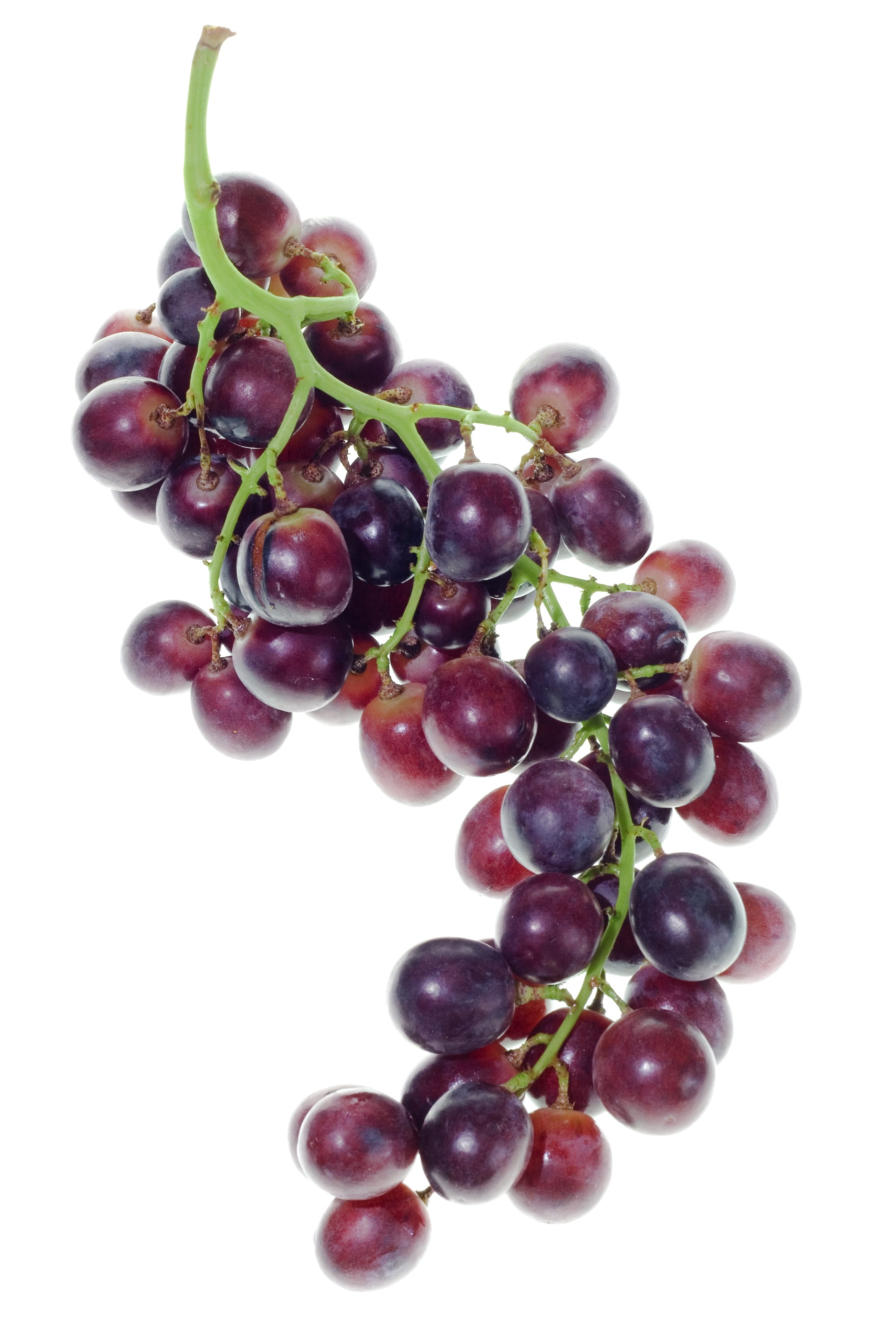 plant, close-up, food and drink, bunch, 2K, nobody, food, nutrient, red, berry fruit, con2011, healthy, studio shot, freshness, indoors, fruit, ripe, nature, Phone HD Wallpaper