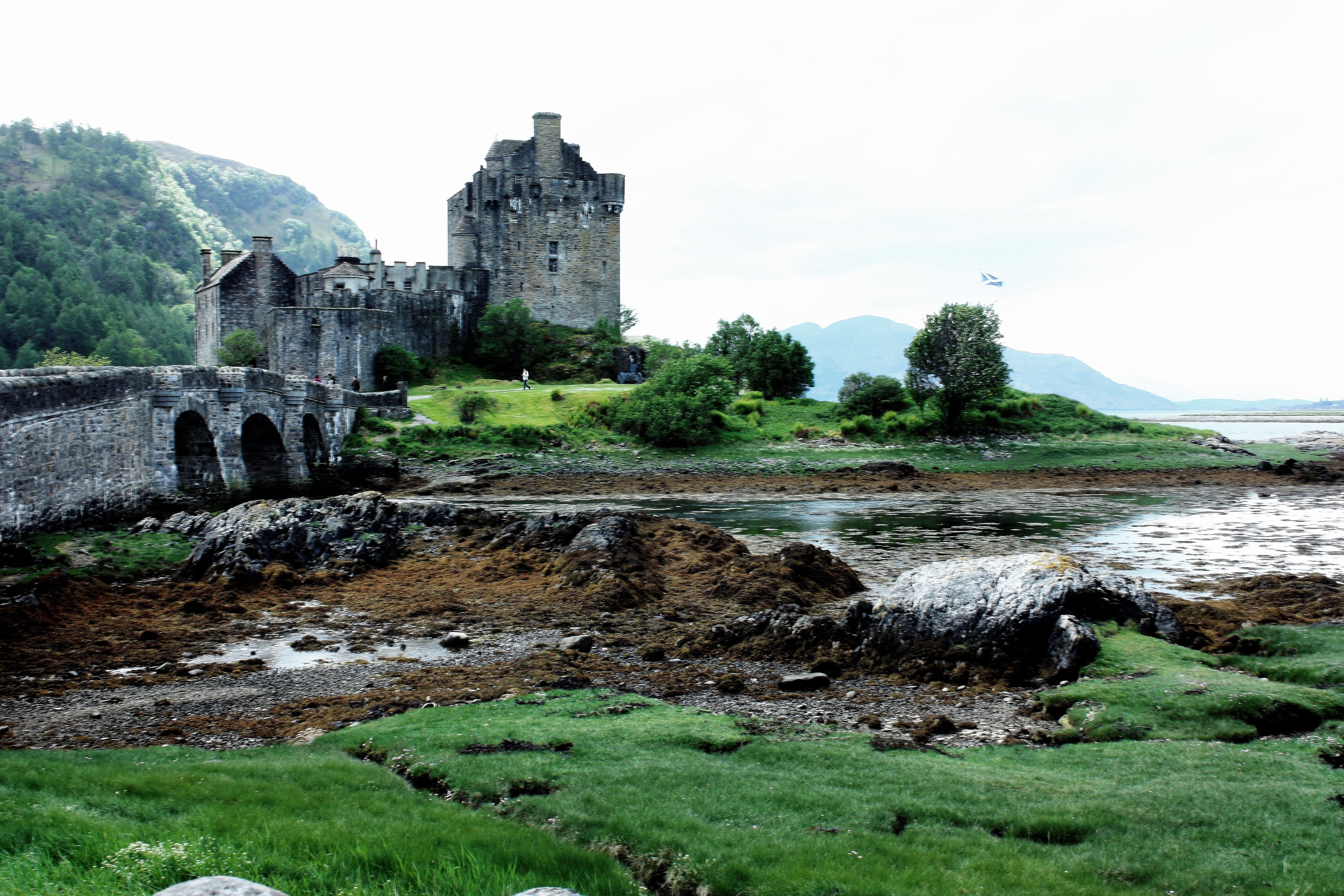 greenery, 4K, plant, eilean donan castle, tower, old, history, coast, built structure, stone, water, land, travel destinations, ancient, historic, the past, HD Wallpaper