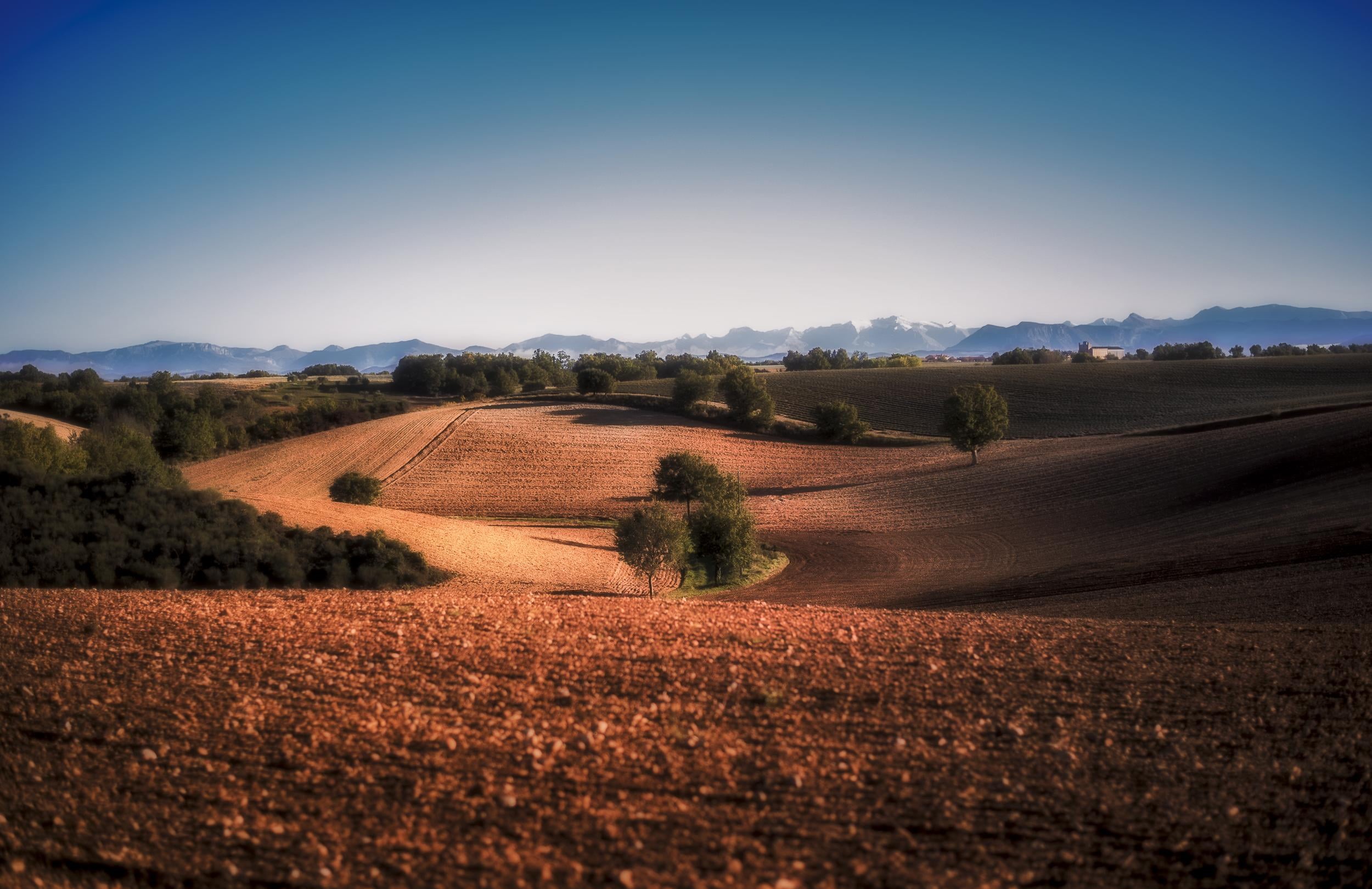 collines, région, NIKKOR, open, scenery, Raphaël, 1080P, Europe, France, scene, Valensole, caravane, hill, scenics, serein, culture, agriculture, nature, HD Wallpaper