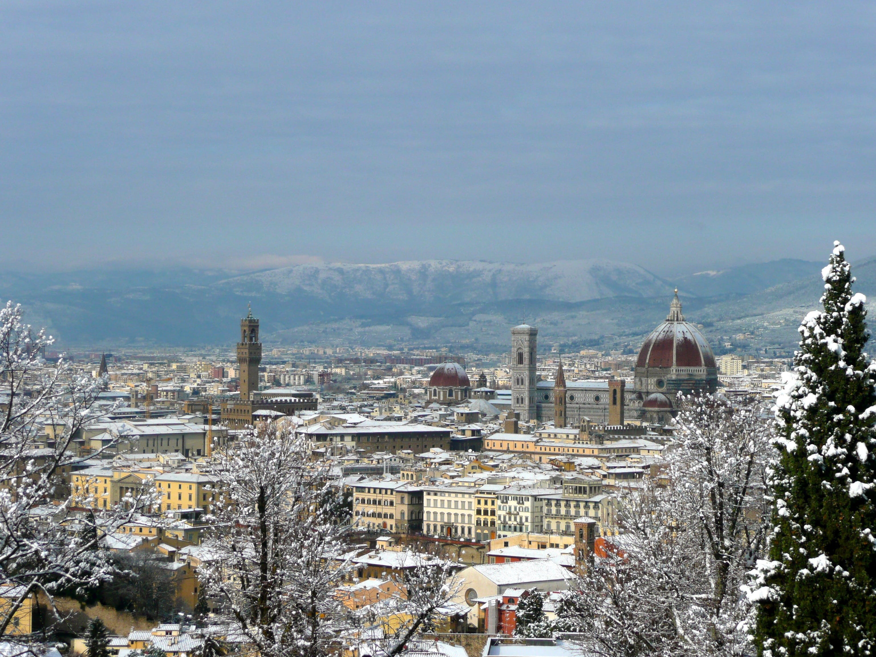 cityscape, Florence, built structure, building, duomo, landmark, residential district, plant, building exterior, tree, famous, urban, firenze, sky, place of worship, HD Wallpaper