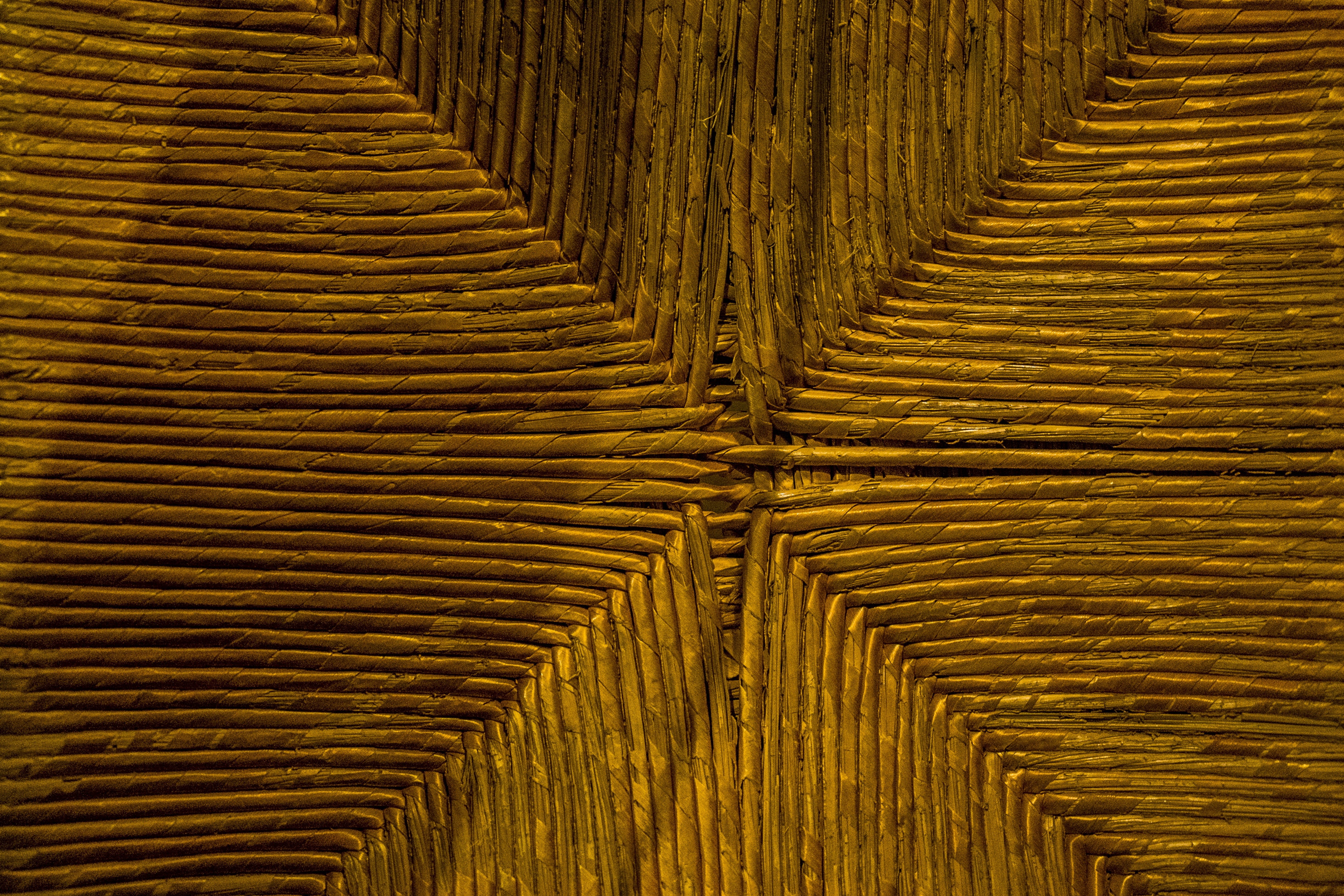 united states, mother and son, design, child, 4K, plant, palm leaf, wood - material, backgrounds, history, flag, california, high renaissance, HD Wallpaper