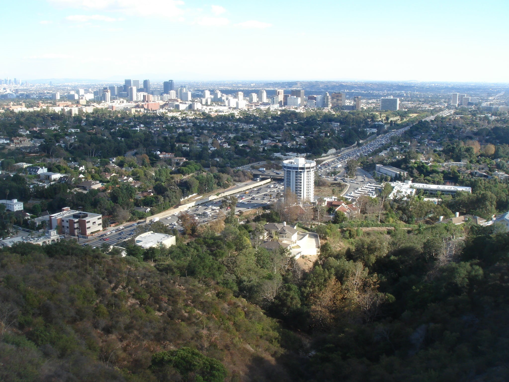 crowd, downtown, nature, building exterior, century city, day, growth, tree, high angle view, residential district, plant, skyscraper, getty center, aerial view, HD Wallpaper