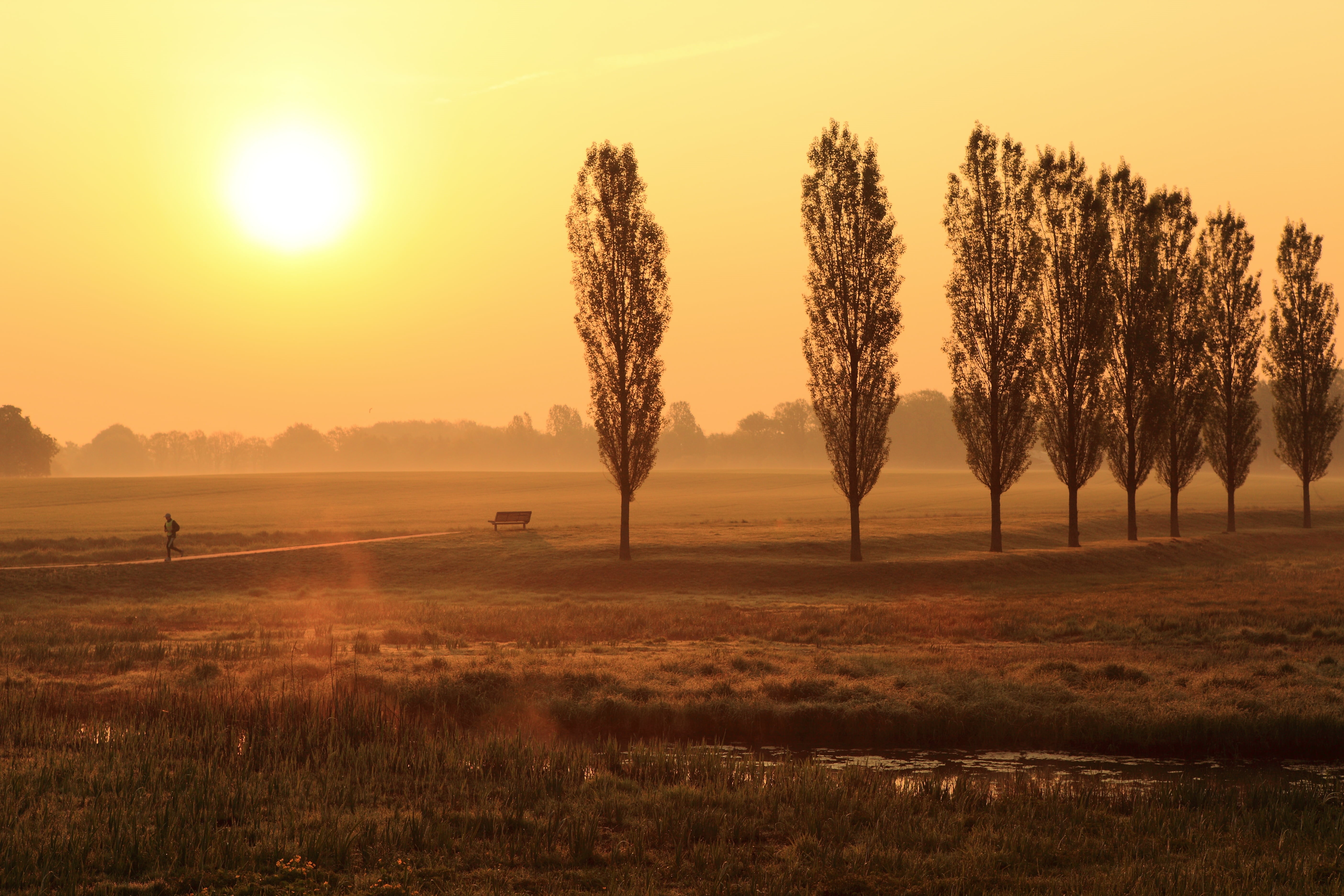 Laga, sunset, fog, Canon EOS 5D mark II, man, field, crossing-borders, Germany, sun, beauty In Nature, Euregio, Nederland, agriculture, Canon EF, Running on Empty, HD Wallpaper