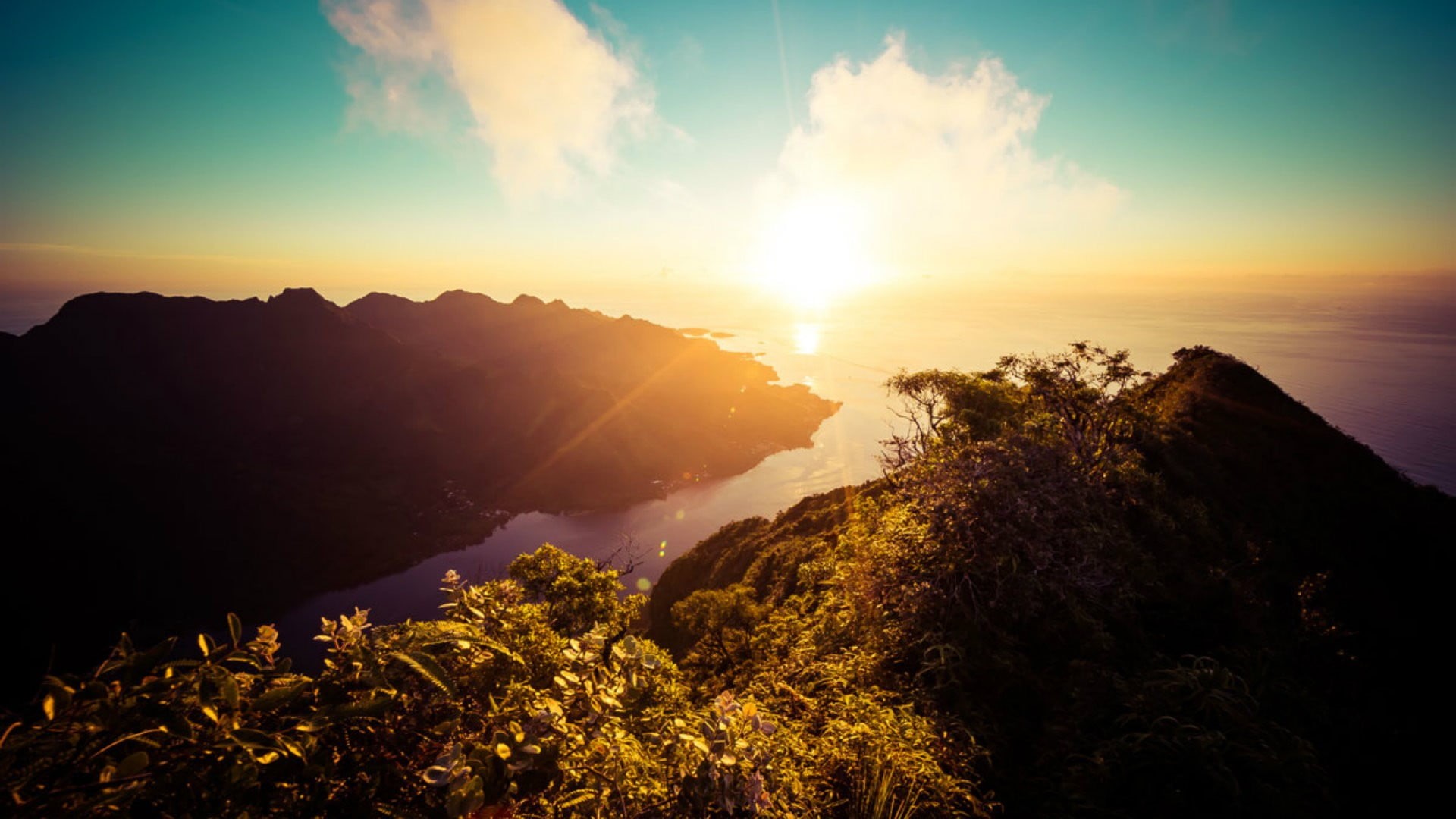 plant, blue, no people, idyllic, sun, sunset, tree, silhouette, tranquil scene, lens flare, environment, 1080P, sky, scenics - nature, orange color, mountain, HD Wallpaper