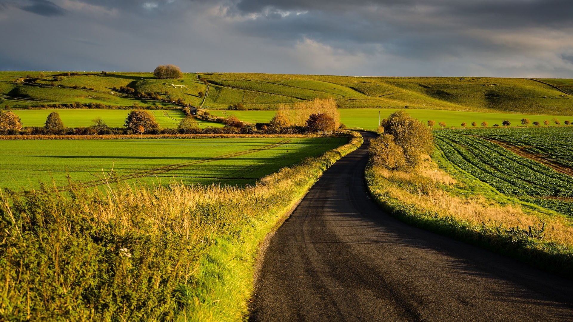 sunset, Wiltshire, landscape, afternoon, Marlborough, UK, hill, field, England, fall, 1080P, nature, plants, HD Wallpaper