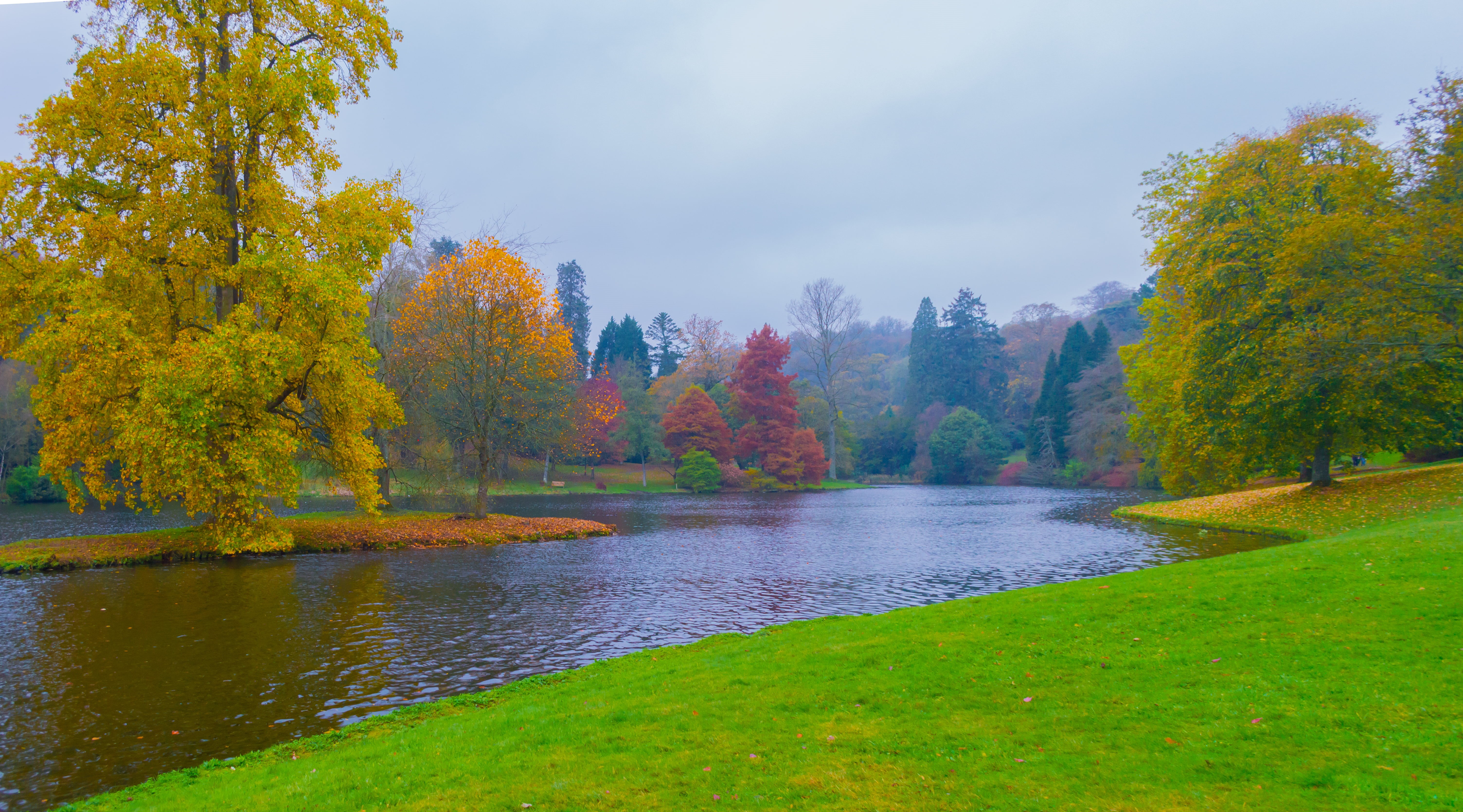 canada, 5K, river  stour, season, water, source, wiltshire  south west, Lake, beauty In Nature, photo, nikon  d3200, autumn, Stourhead Estate, tree, forest, HD Wallpaper