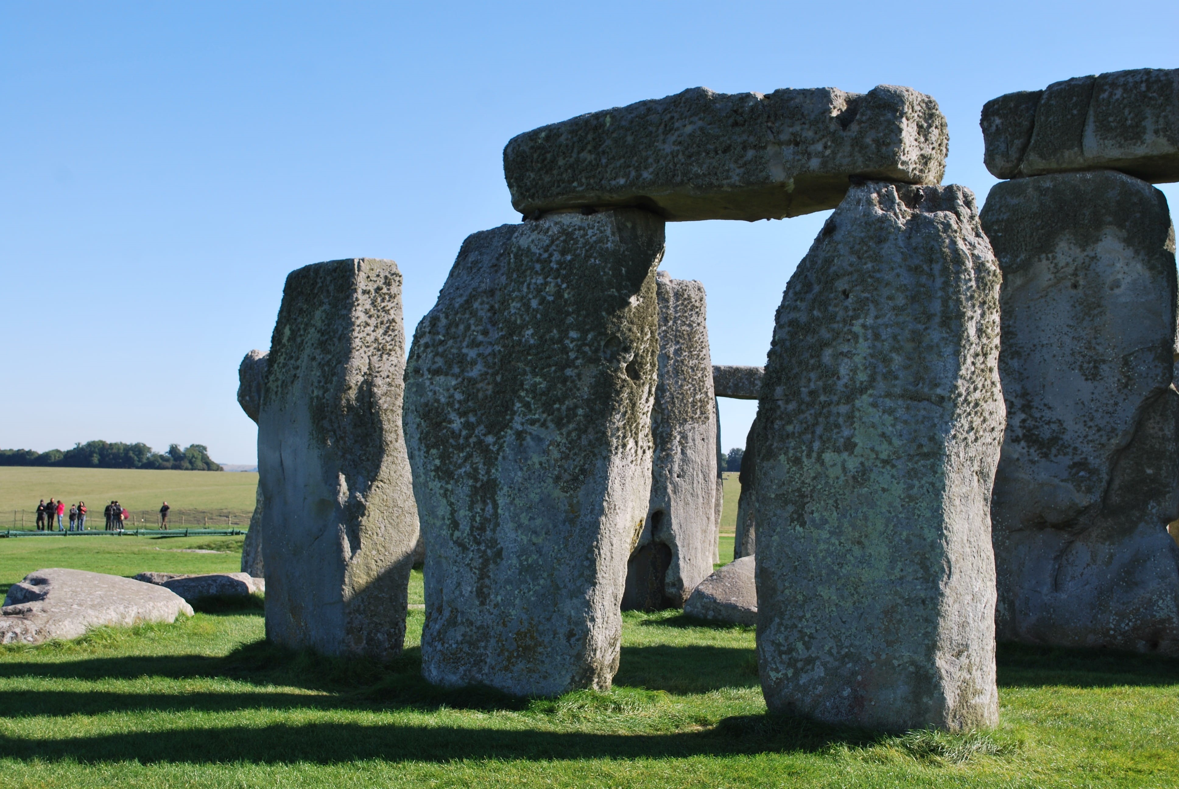 plant, architectural column, english, stone henge, britain, no people, nature, stonehenge, uk, ancient, old ruin, day, travel, sky, the past, outdoors, HD Wallpaper