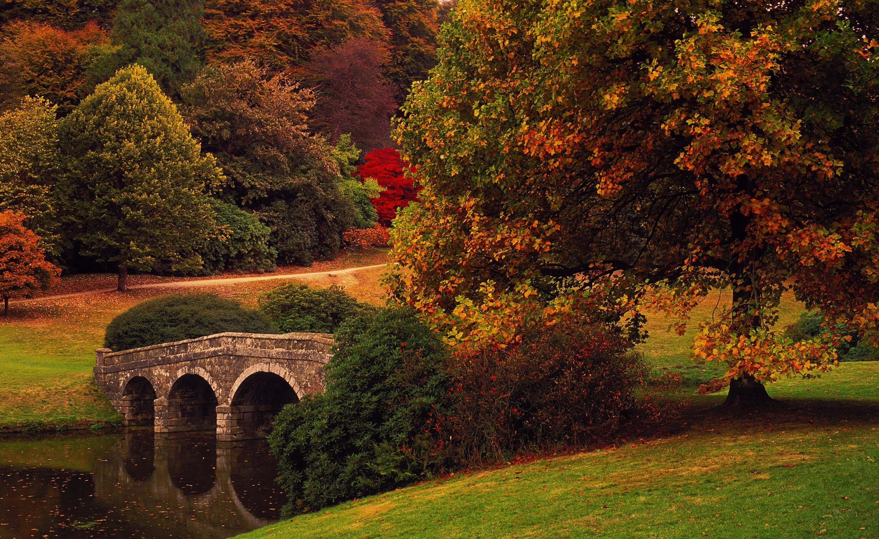trees, bridge, Park, 2K, Wiltshire, autumn, England, HD Wallpaper