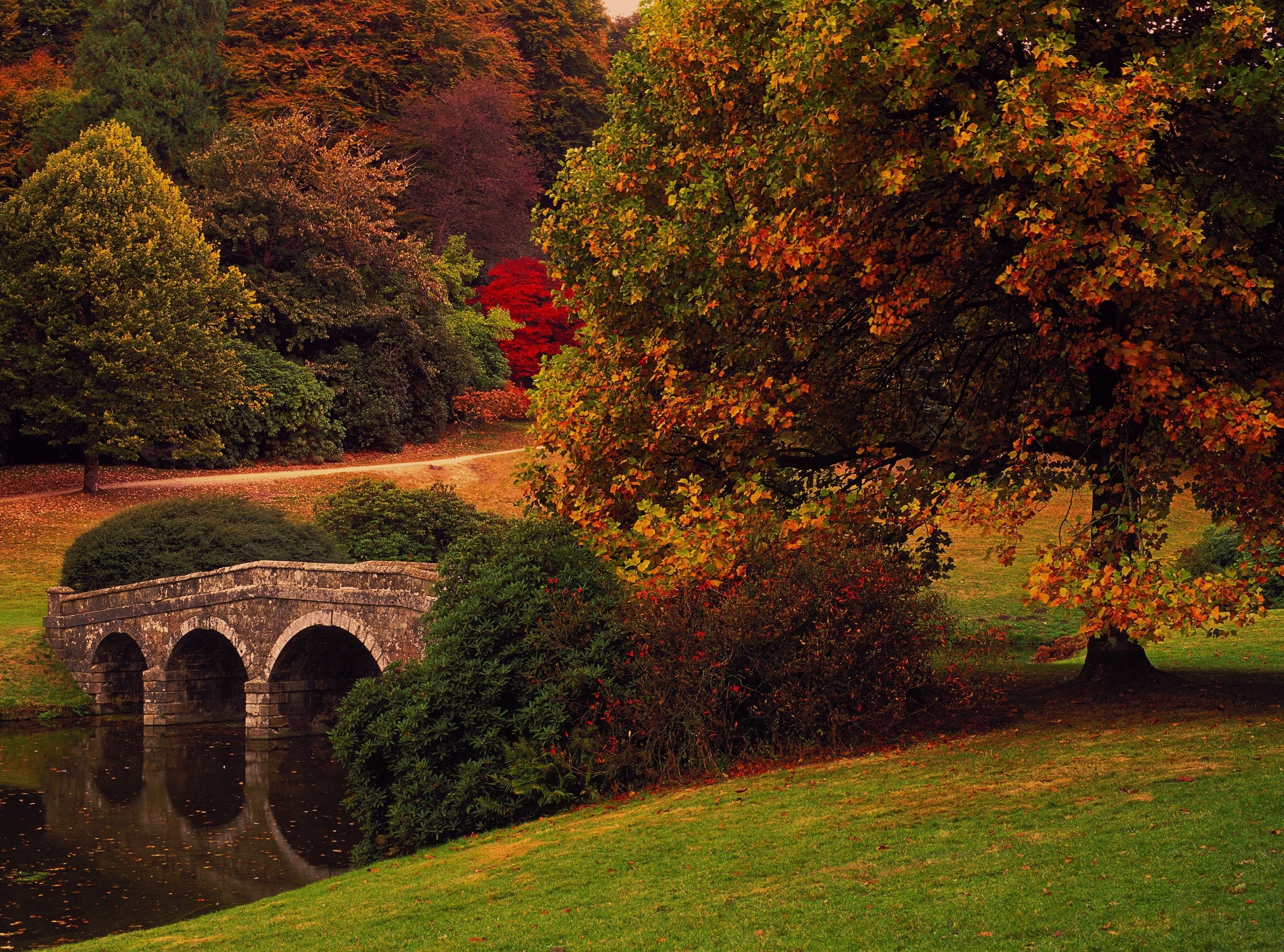 Lake, Henry, tree, hoare, om4ti, no people, grotto, wiltshire, Autumnal, Color, Water, Fall, elitechrome, tranquility, Season, England, olympus, built structure, HD Wallpaper
