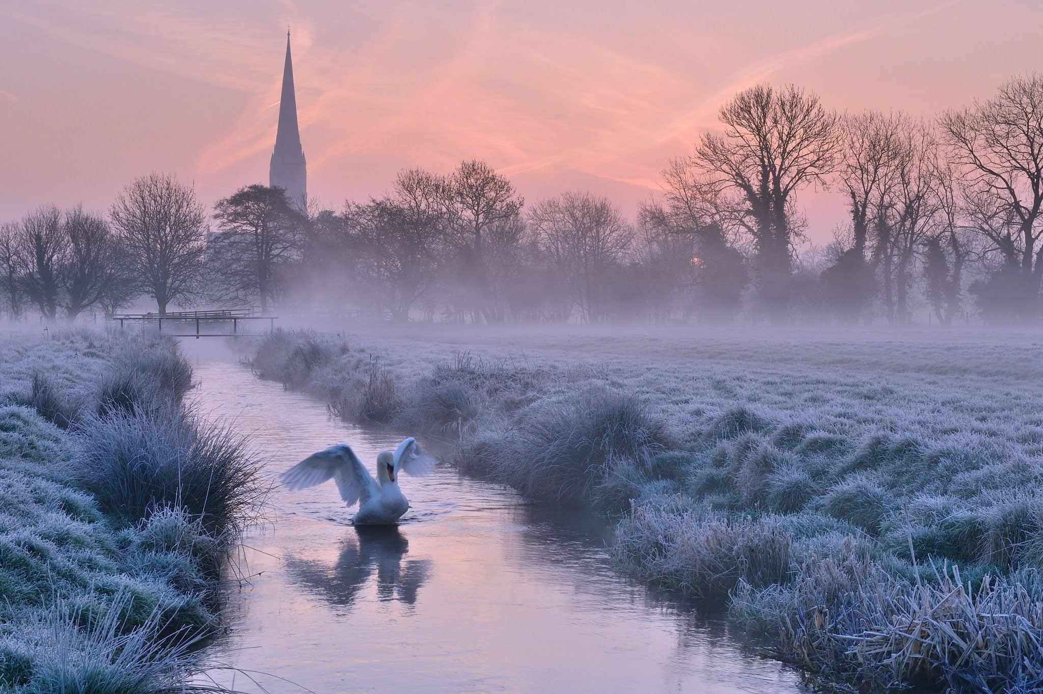 England, Frost, bird, fog, Swan, Morning, river, dawn, Salisbury, 1080P, HD Wallpaper