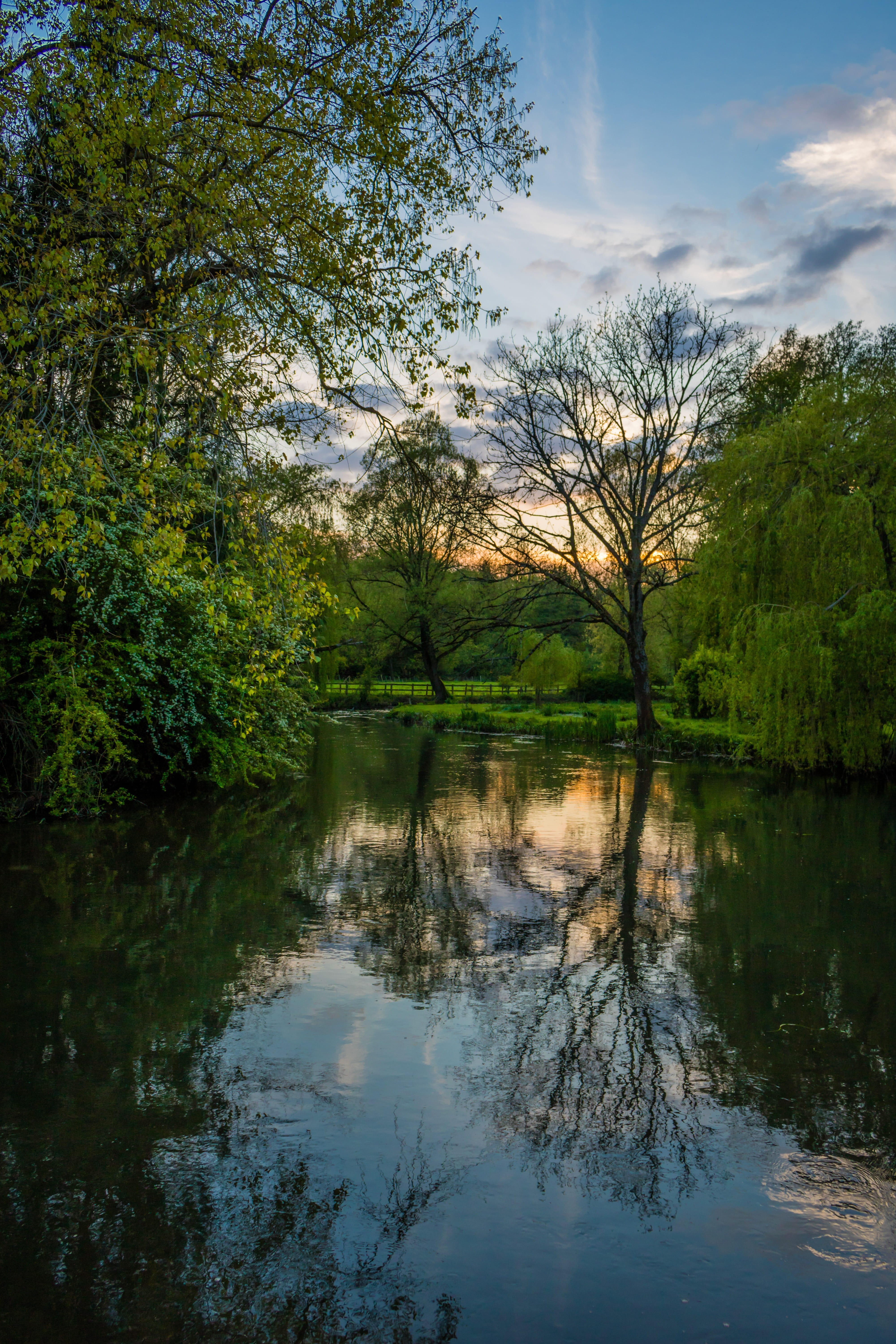 reflection, non-urban scene, salisbury, forest, sky, outdoors, day, water, no people, tree, waterfront, reflection lake, england, tranquility, river, growth, Phone HD Wallpaper