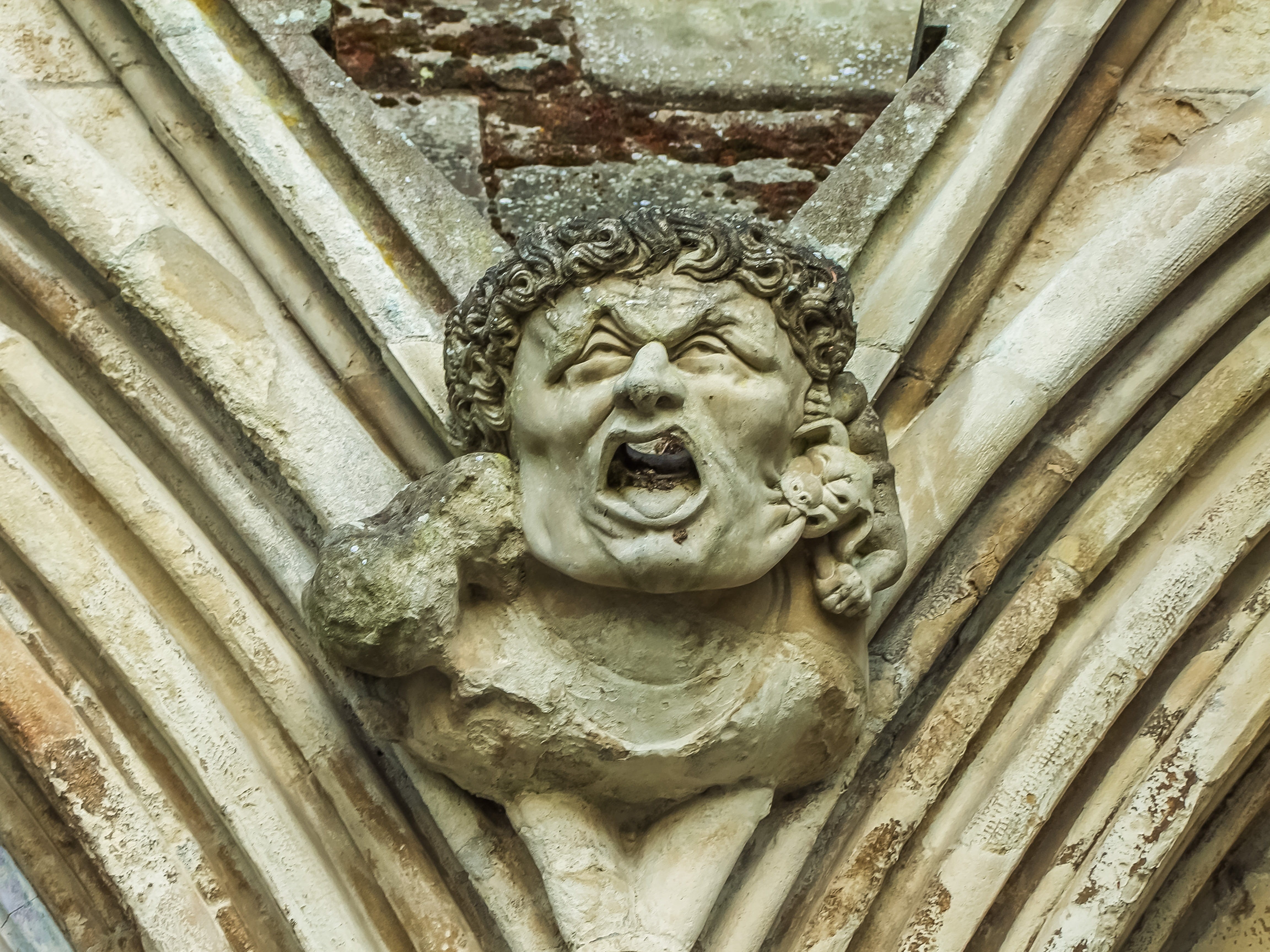 carving, religion, salisbury, mouth open, representation, creativity, ornate, building, the statue of, england, monument, close-up, built structure, architecture, HD Wallpaper