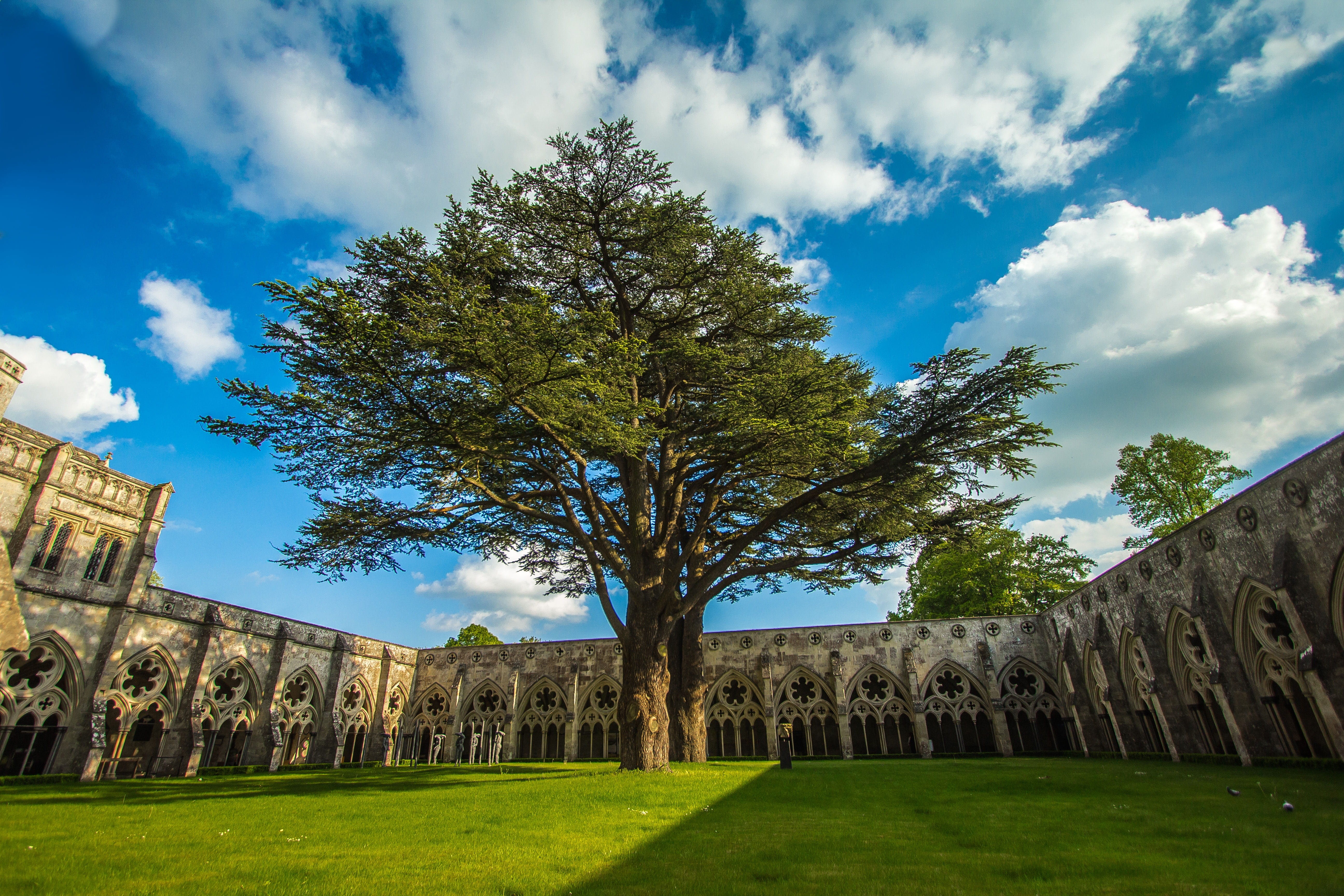 outdoors, day, cloud - sky, garden, history, monument, building exterior, 5K, no people, blue, lawn, cathedral, green color, ancient, travel destinations, HD Wallpaper