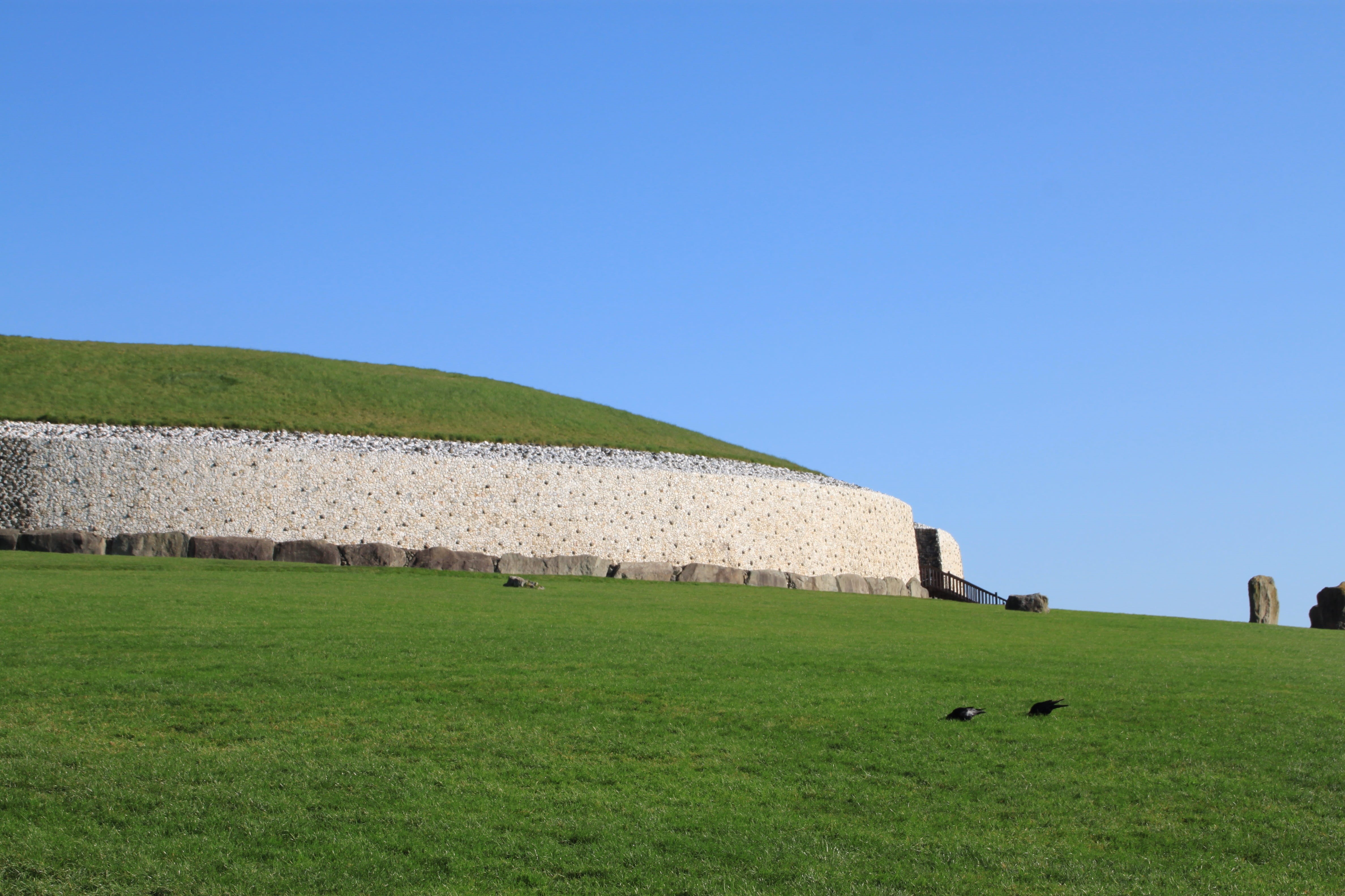 green color, outdoors, megalithic, Stone, ancient, animal themes, landscape, copy space, monument, field, mythical, 4K, the past, druids, archaeology, HD Wallpaper