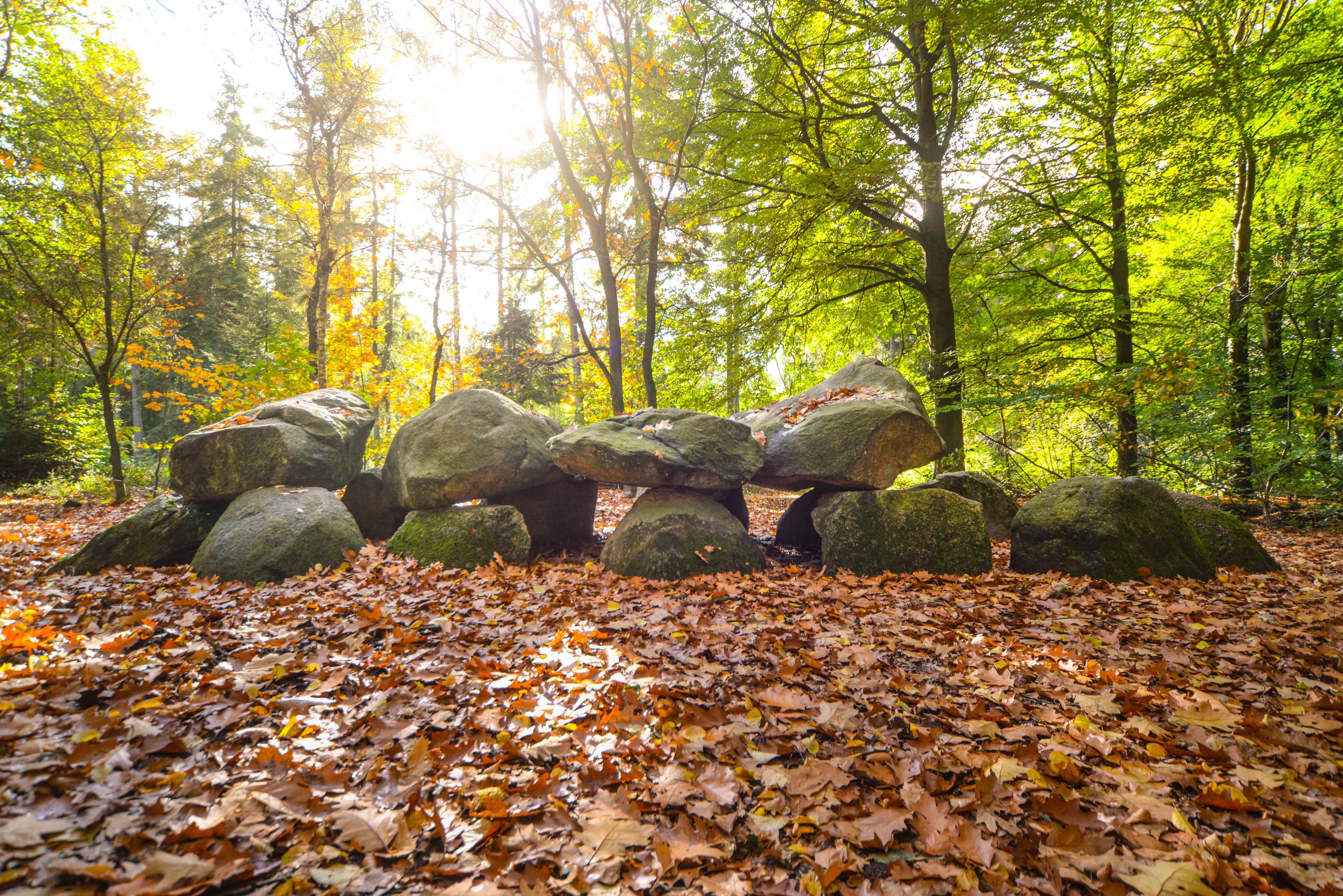 tree, sky, landscape, plant part, non-urban scene, nature, boulders, rock - object, scene, field, day, hunebed, outdoor, tranquil, trees, solid, tree trunk, HD Wallpaper