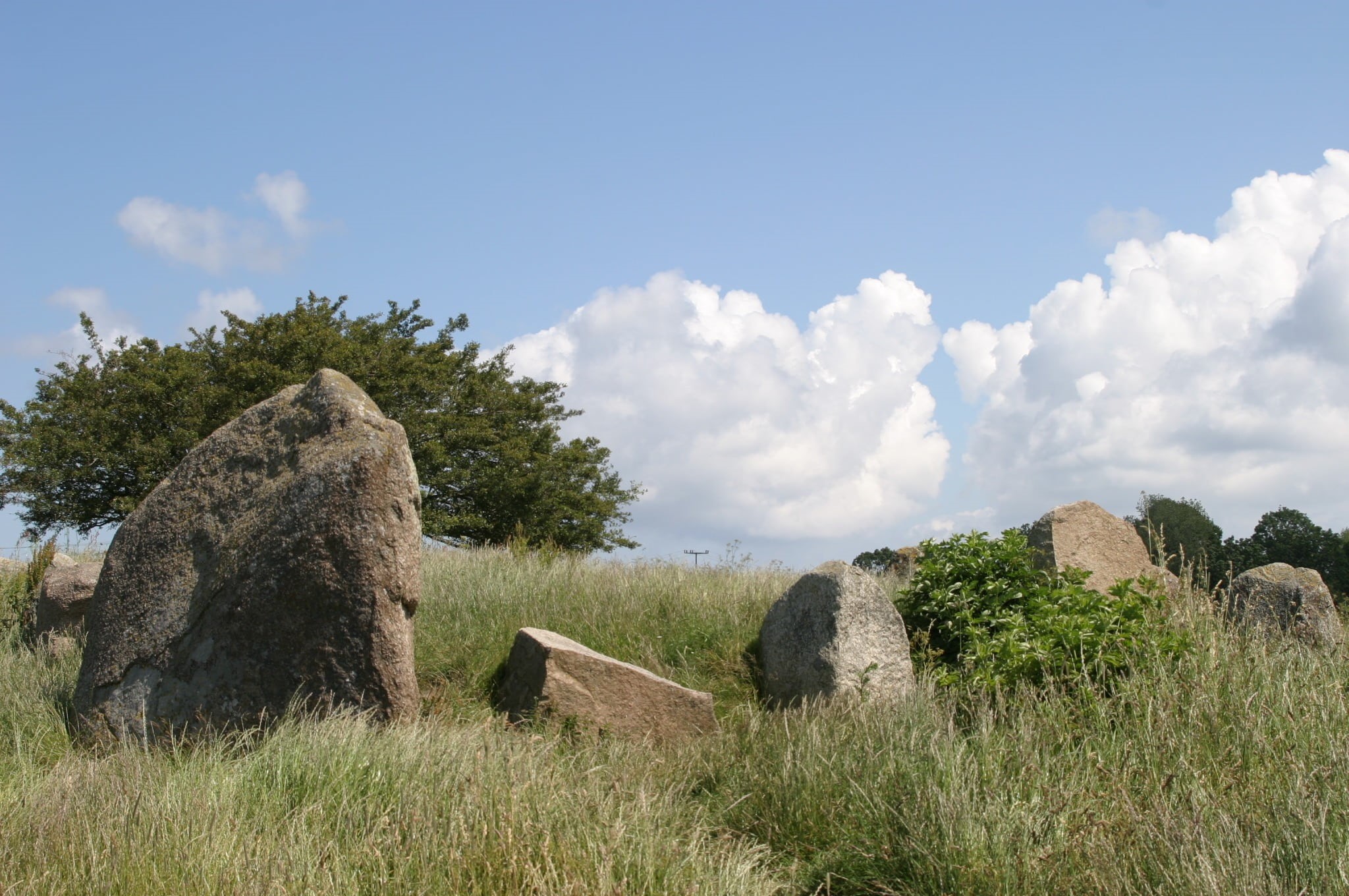 plant, megalith, meadow, beauty in nature, field, old, famous Place, stone Age, baltic sea, the Past, ancient history, growth, ancient, cloud - sky, cultures, HD Wallpaper