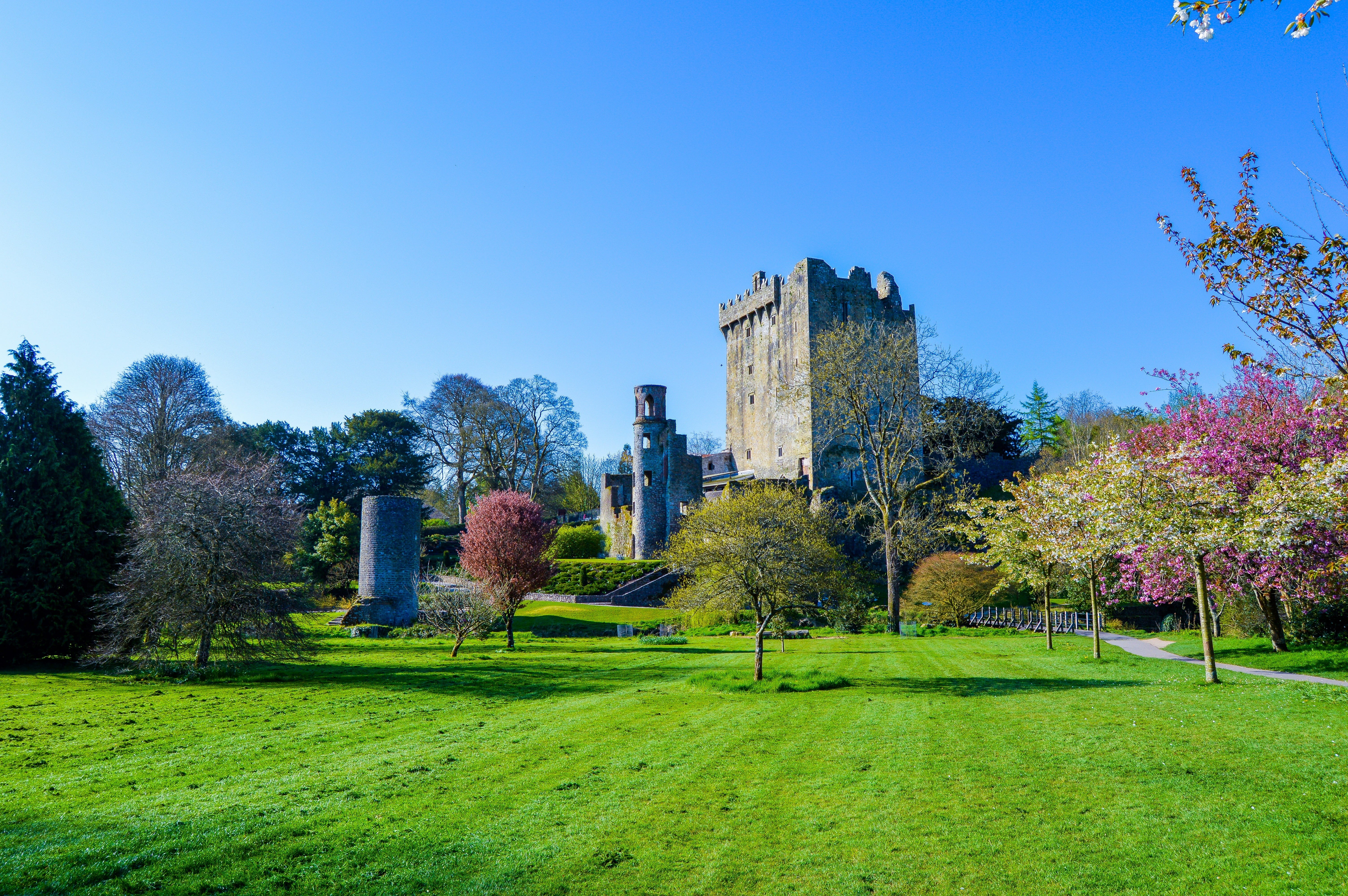 landscape, old, medieval, plant, tree, historic, cork, famous, built structure, grass, blarney, growth, architecture, green color, celtic, beauty in nature, HD Wallpaper
