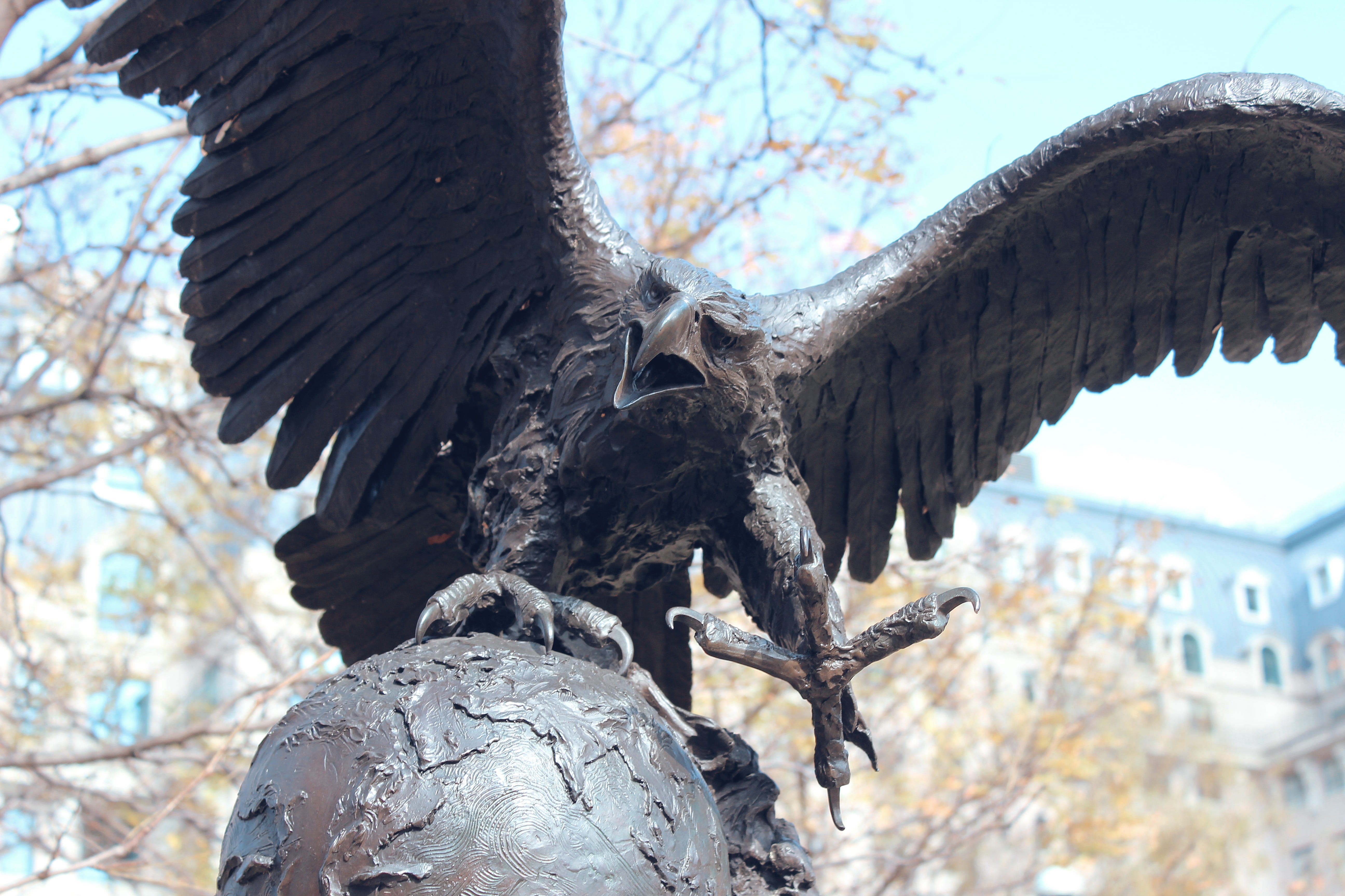 statue, flying, park, animals in the wild, 5K, tree, animal, historical, animal representation, low angle view, art and craft, us, attraction, creativity, HD Wallpaper