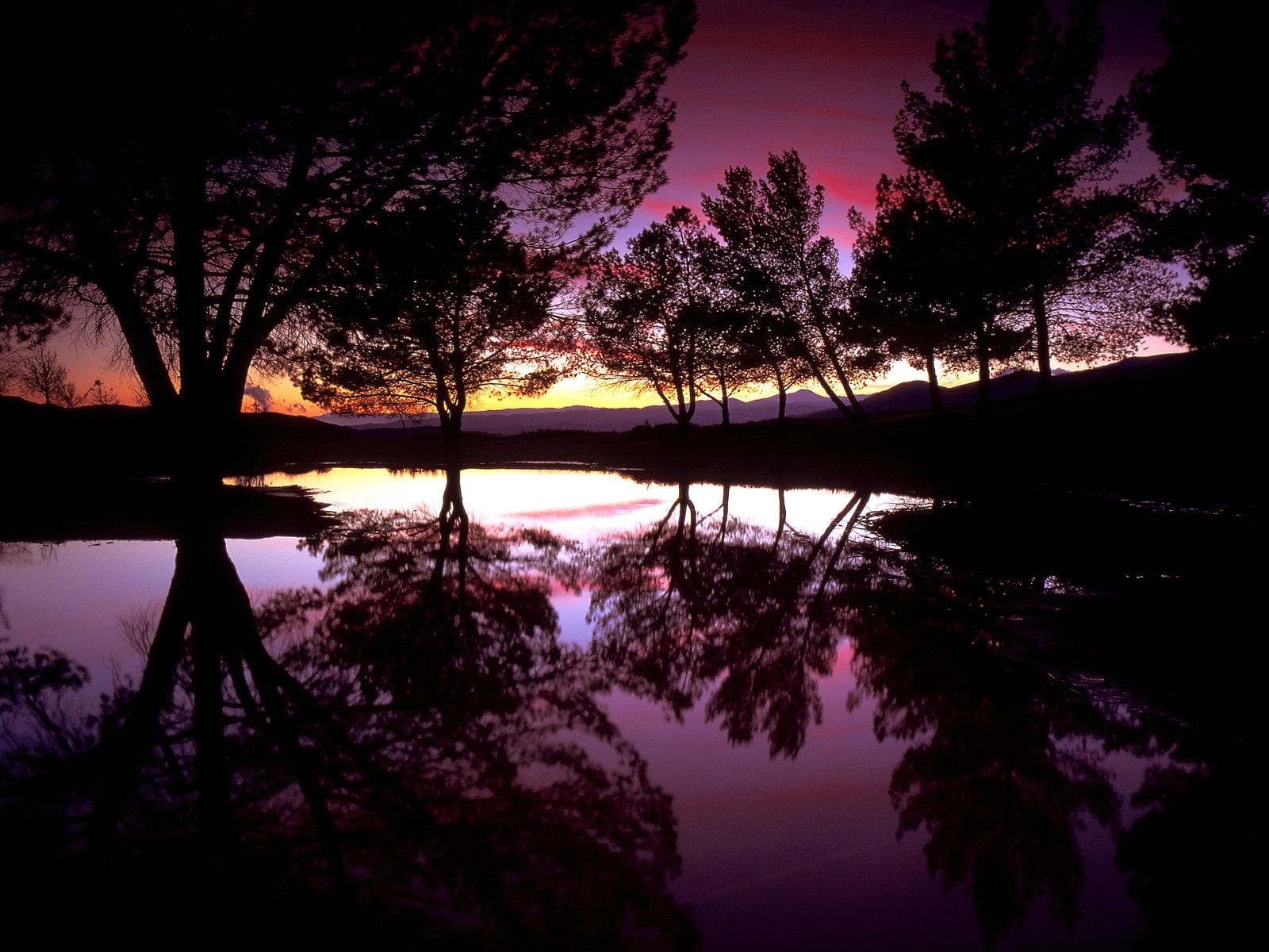 plant, no People, night, silhouette, reflexion, pond, light - Natural Phenomenon, water, back Lit, tranquility, morning, sunlight, beauty In Nature, sun, HD Wallpaper