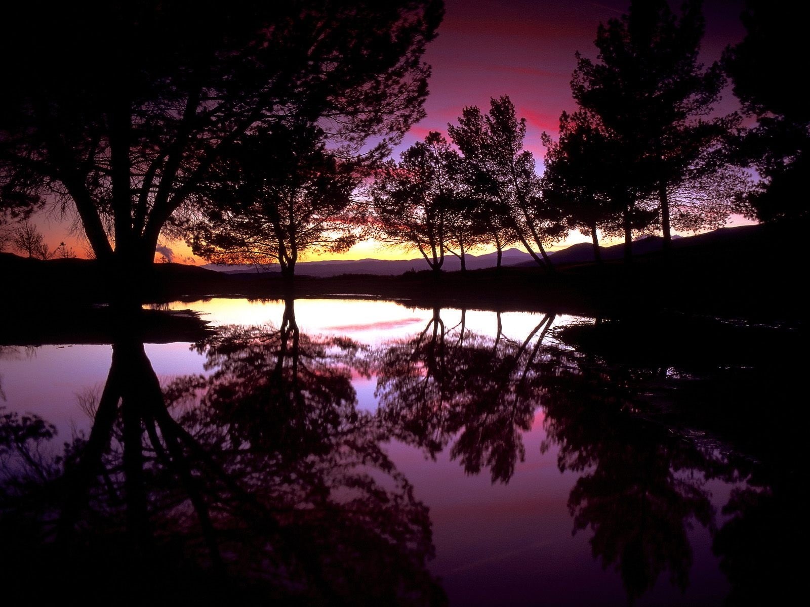 tranquil scene, standing water, reflection, Trees, Reflexion, California, beauty in nature, outdoors, growth, silhouette, reflection lake, plant, 720P, HD Wallpaper