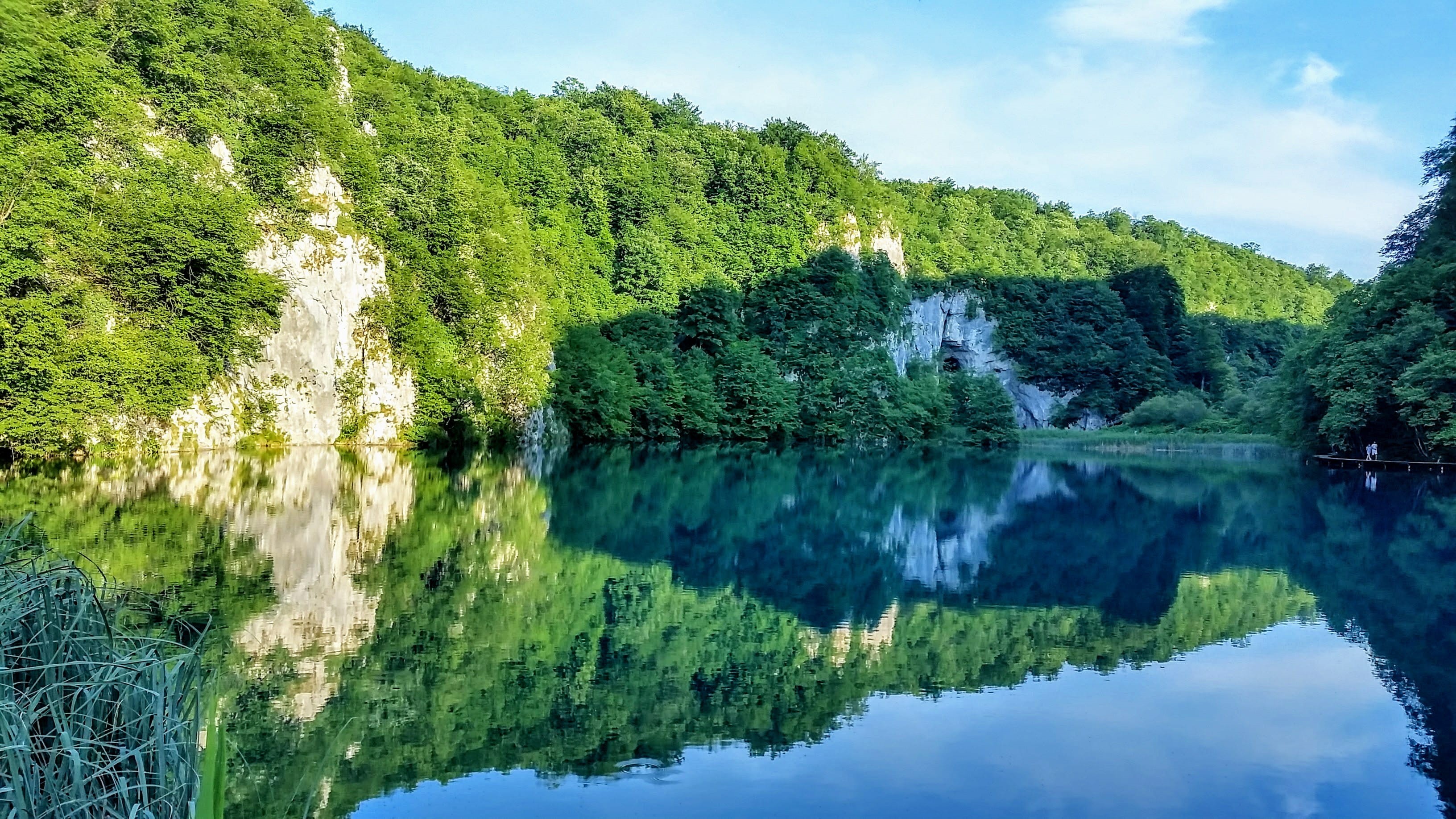 croatia, non-urban scene, no people, tranquility, tree, plant, flowing water, day, beauty in nature, tranquil scene, natural, outdoors, growth, HD Wallpaper