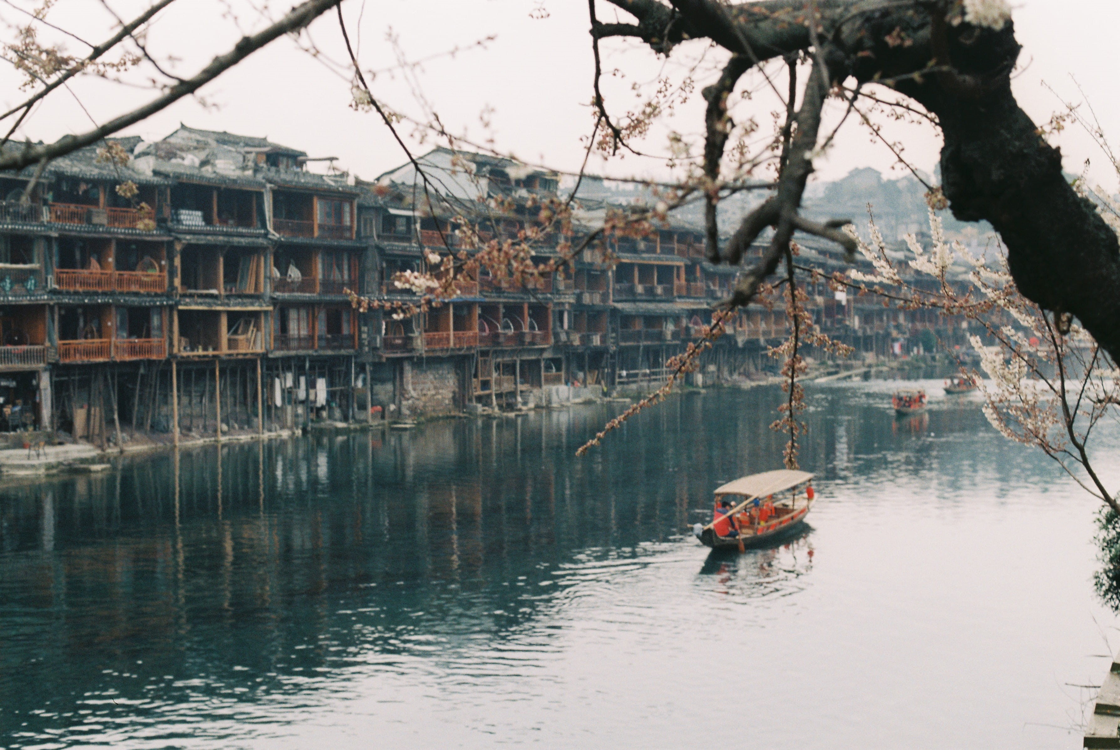branch, sailboat, sky, river, architecture, boat, old, no people, flowers, built structure, outdoors, fenghuang, nautical vessel, plant, building, green, HD Wallpaper