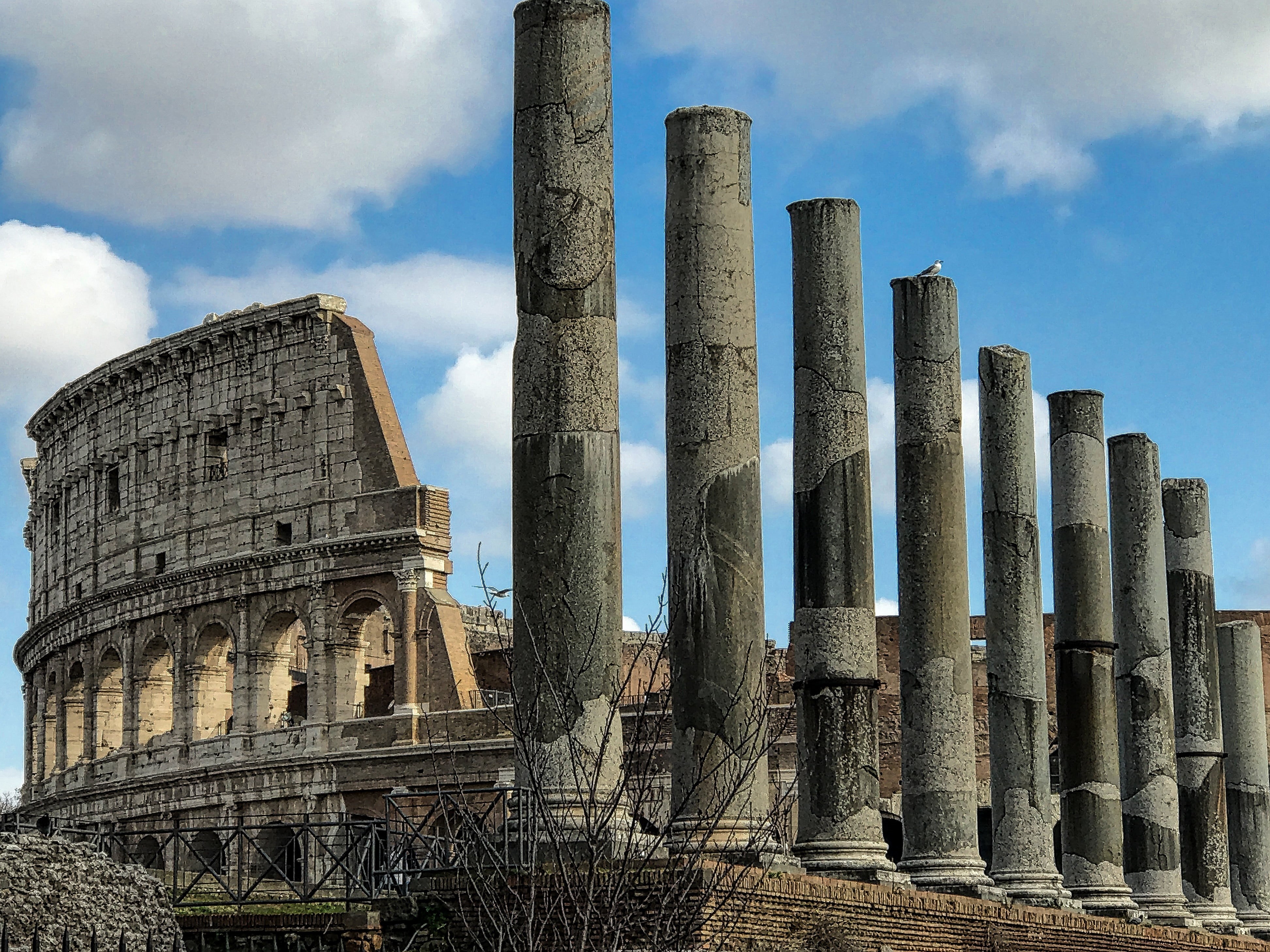 stadium, building exterior, retro, the past, classic, roman, symbol, old, old ruin, famous, nature, ancient history, ancient, 4K, no people, architectural column, HD Wallpaper